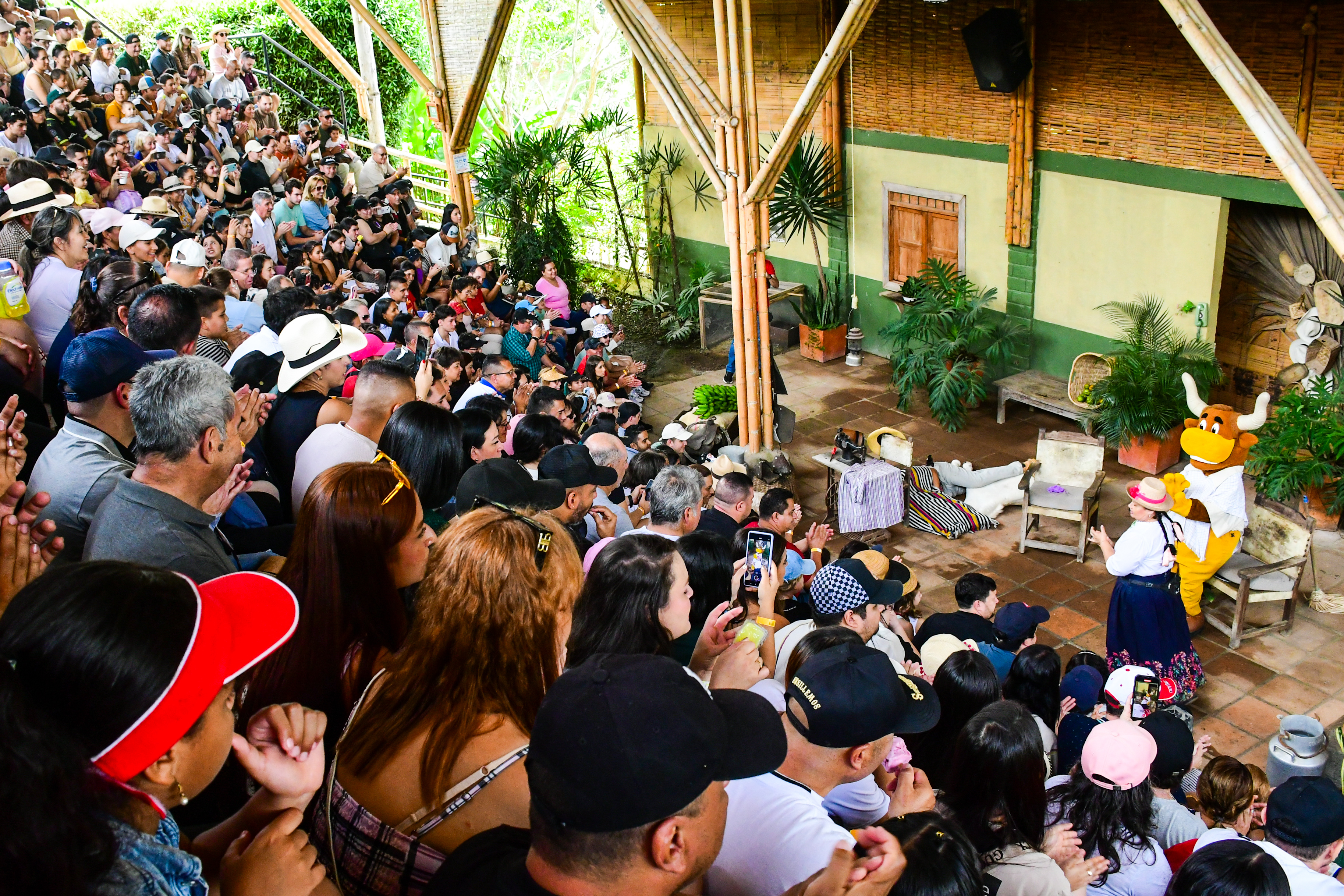 Pasaporte PANACA Eje Cafetero MAYORISTAS