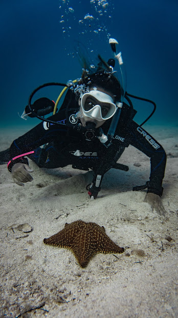 Bucea en uno de los mares más cristalinos de Colombia ISLA DE PROVIDENCIA