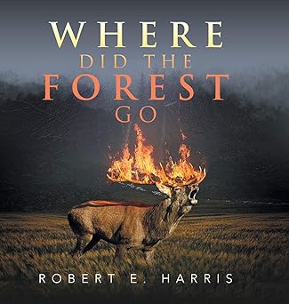 Where Did The Forest Go