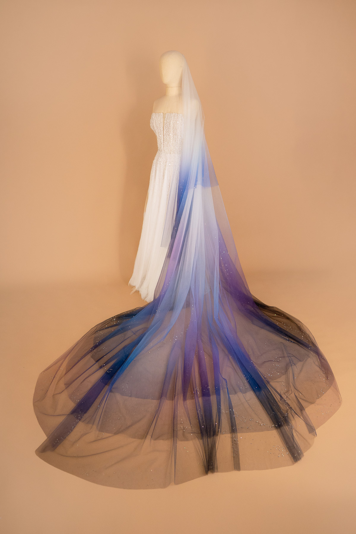 Galaxy Veil