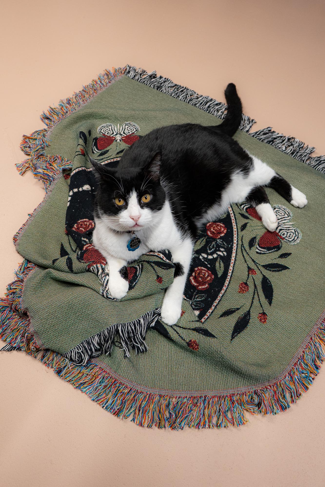 Woven Tapestry/Throw Blanket