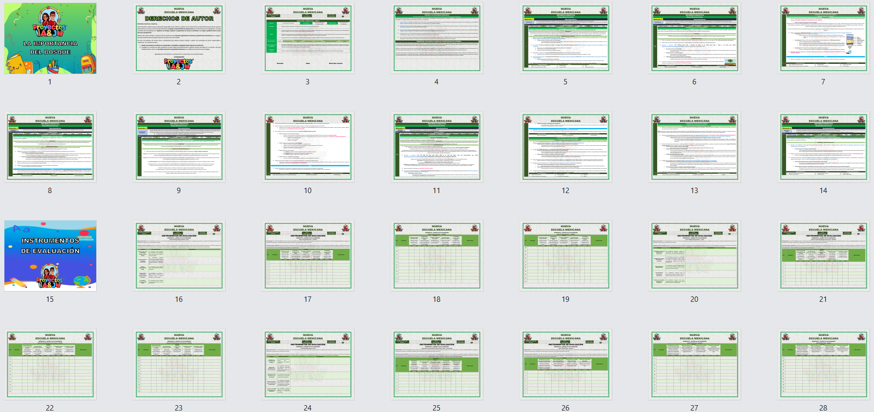 Proyecto: La importancia del bosque