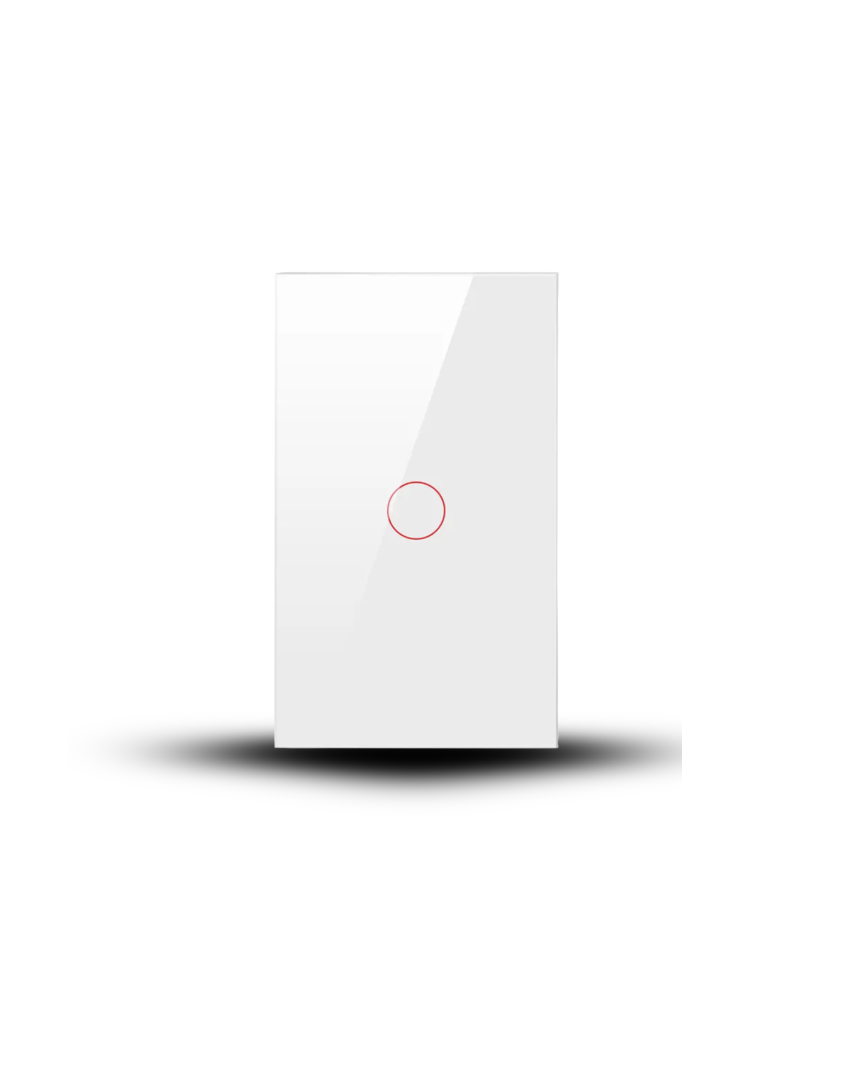 INTERRUPTOR BLANCO TIPO SWITCH 1C IT094930