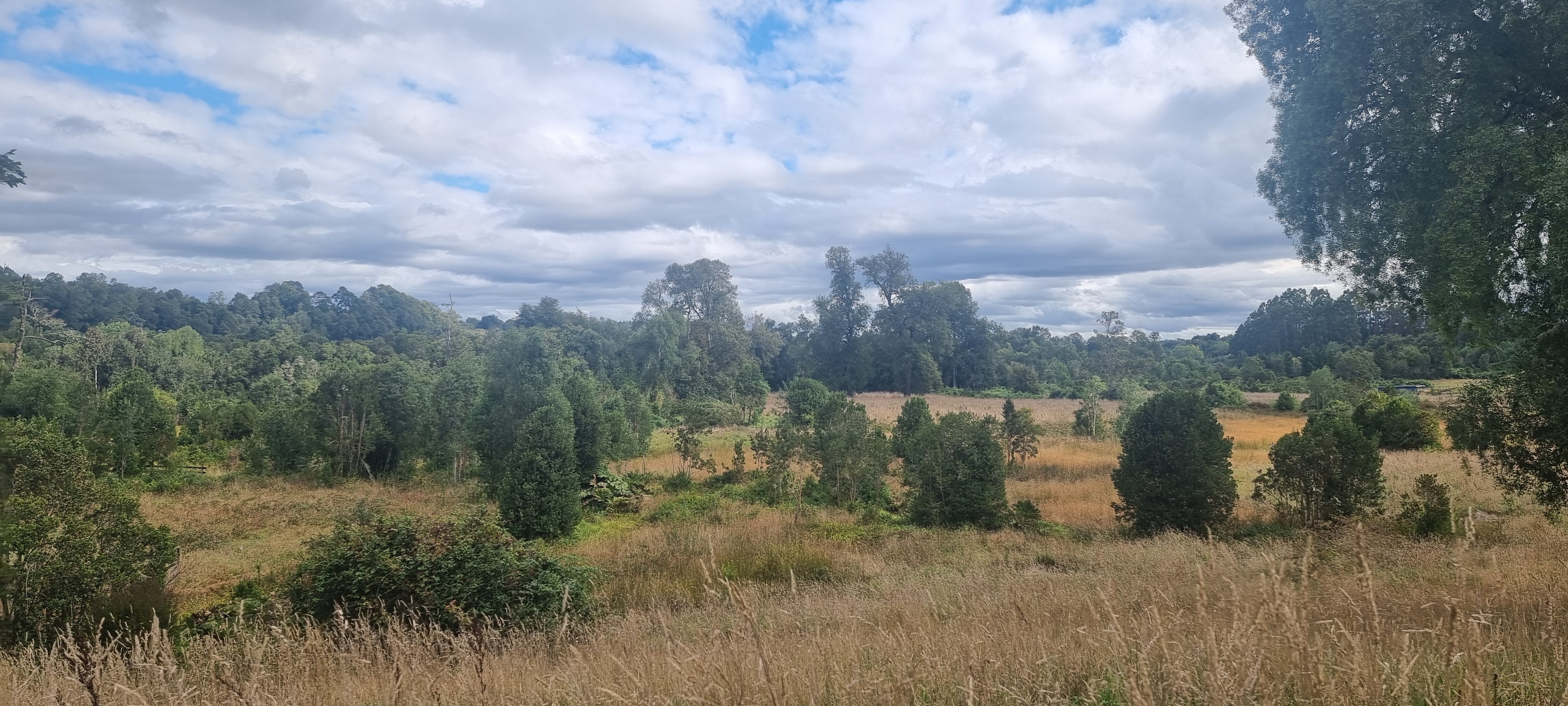 VENDO -  2 Parcelas en Terrazas de Puerto Varas, Nueva Braunau