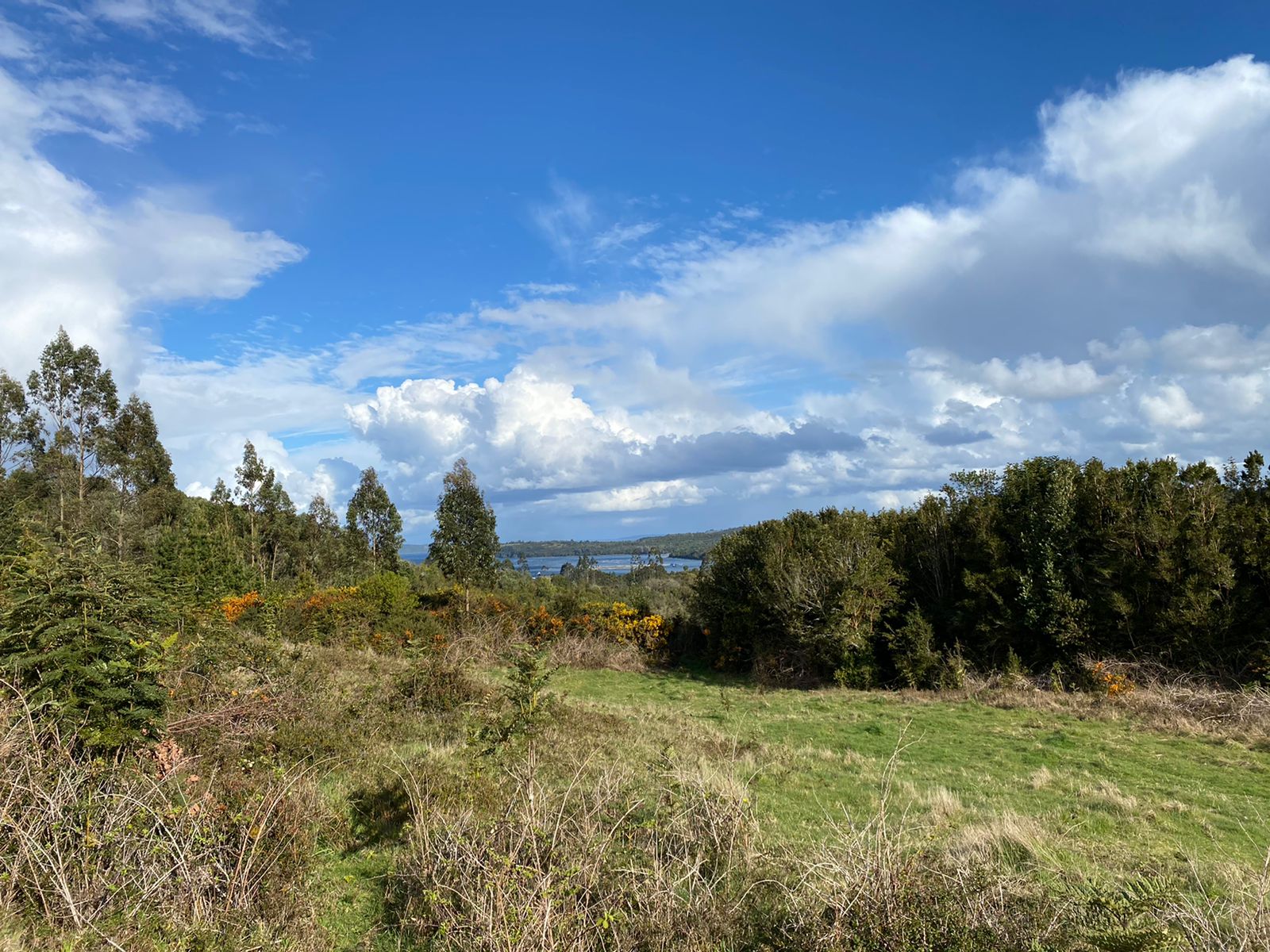 VENDO - Terreno de 2.35 Ha en ILQUE