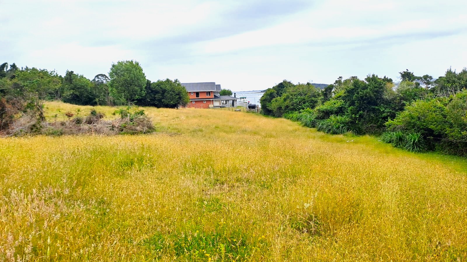 VENDO - Terreno en Isla Puluqui, Calbuco 