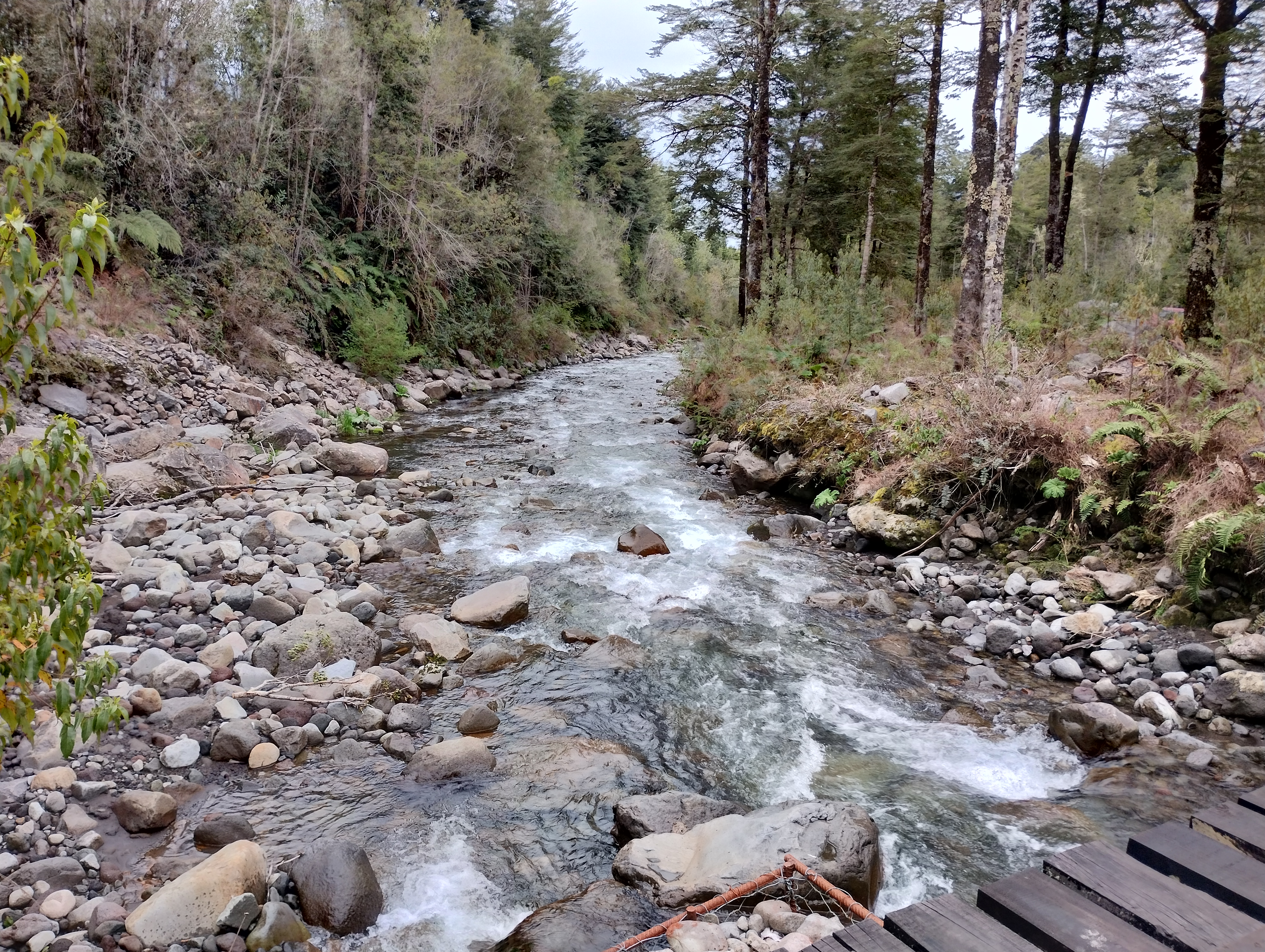 VENDO - Parcela de 4.252 m2 en Sector Cumbre Rio Pescado, Pto. Varas