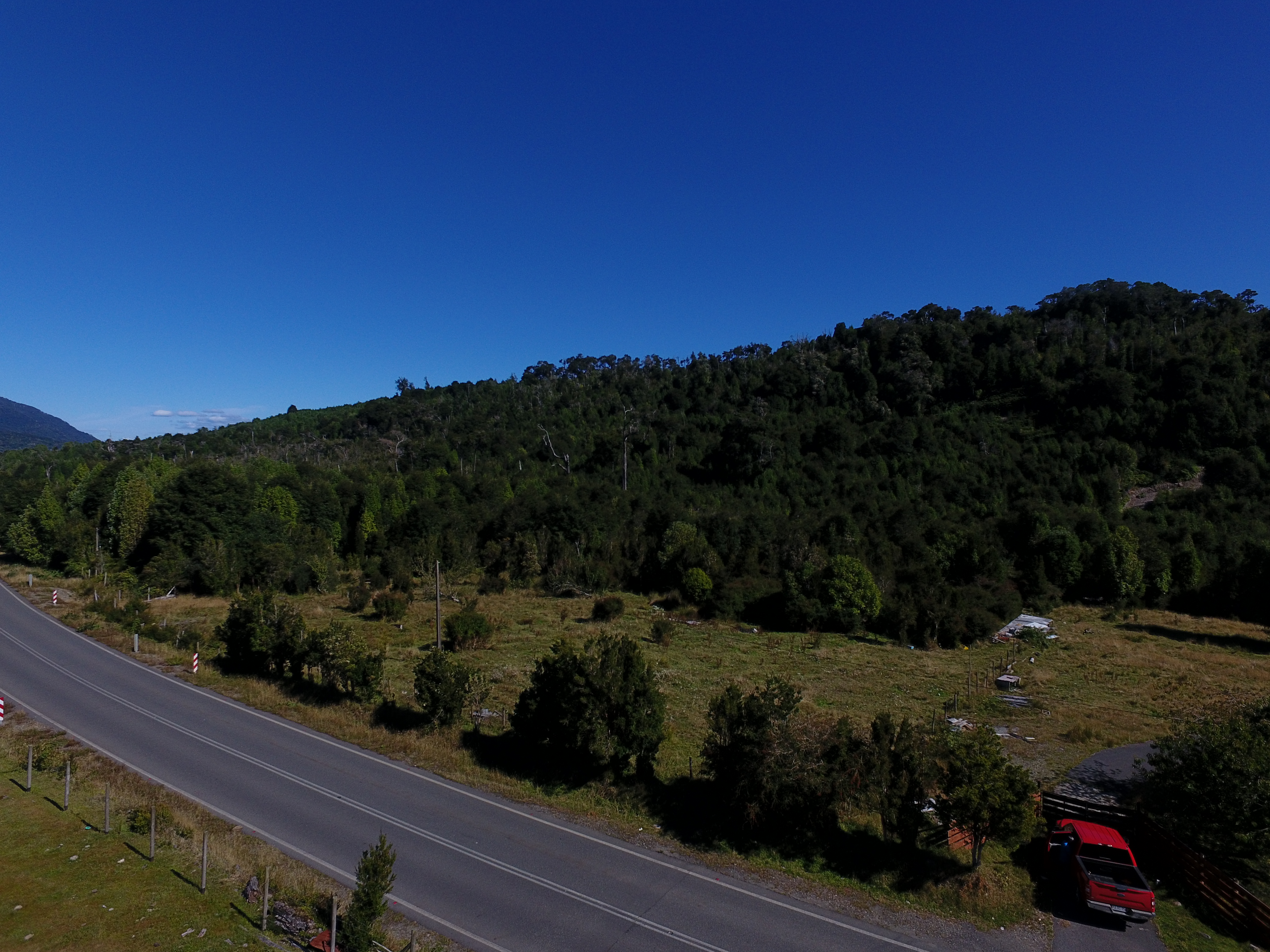 CAMPO 99 HA EN QUILDACO ALTO, HUALAIHUE