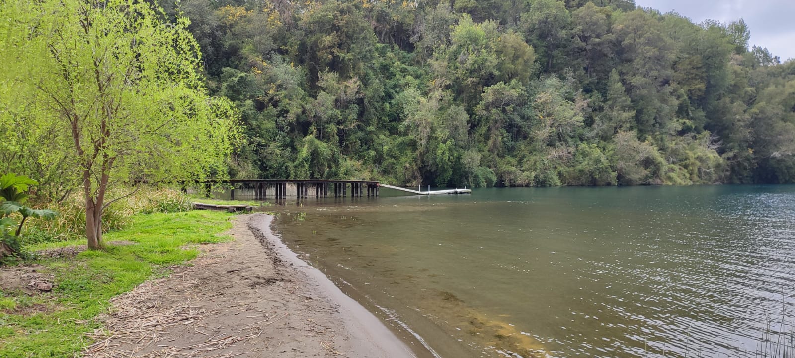 VENDO - HERMOSA PARCELA EN QUILANTO, PUERTO OCTAY