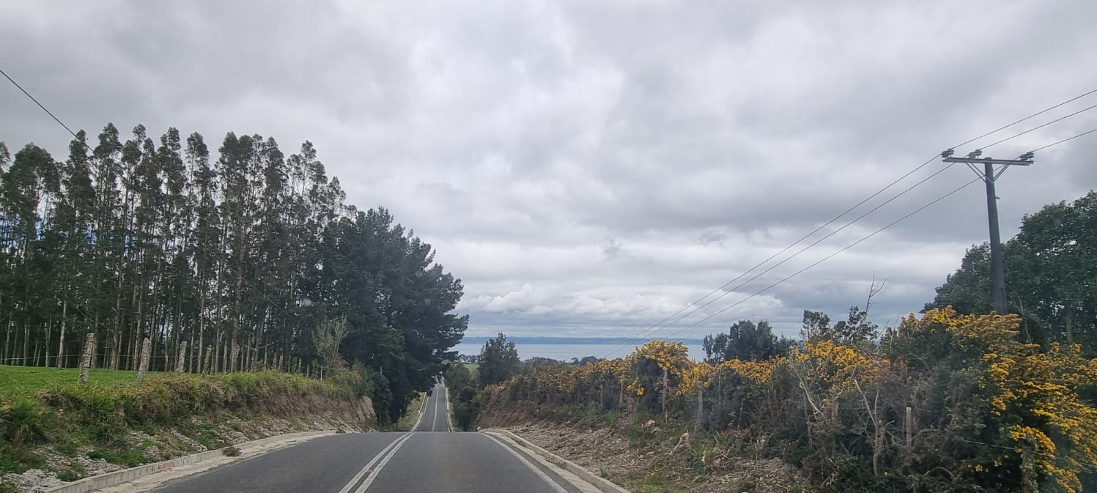 PARCELACIÓN EN EN COLONIA RIO SUR, PUERTO VARAS