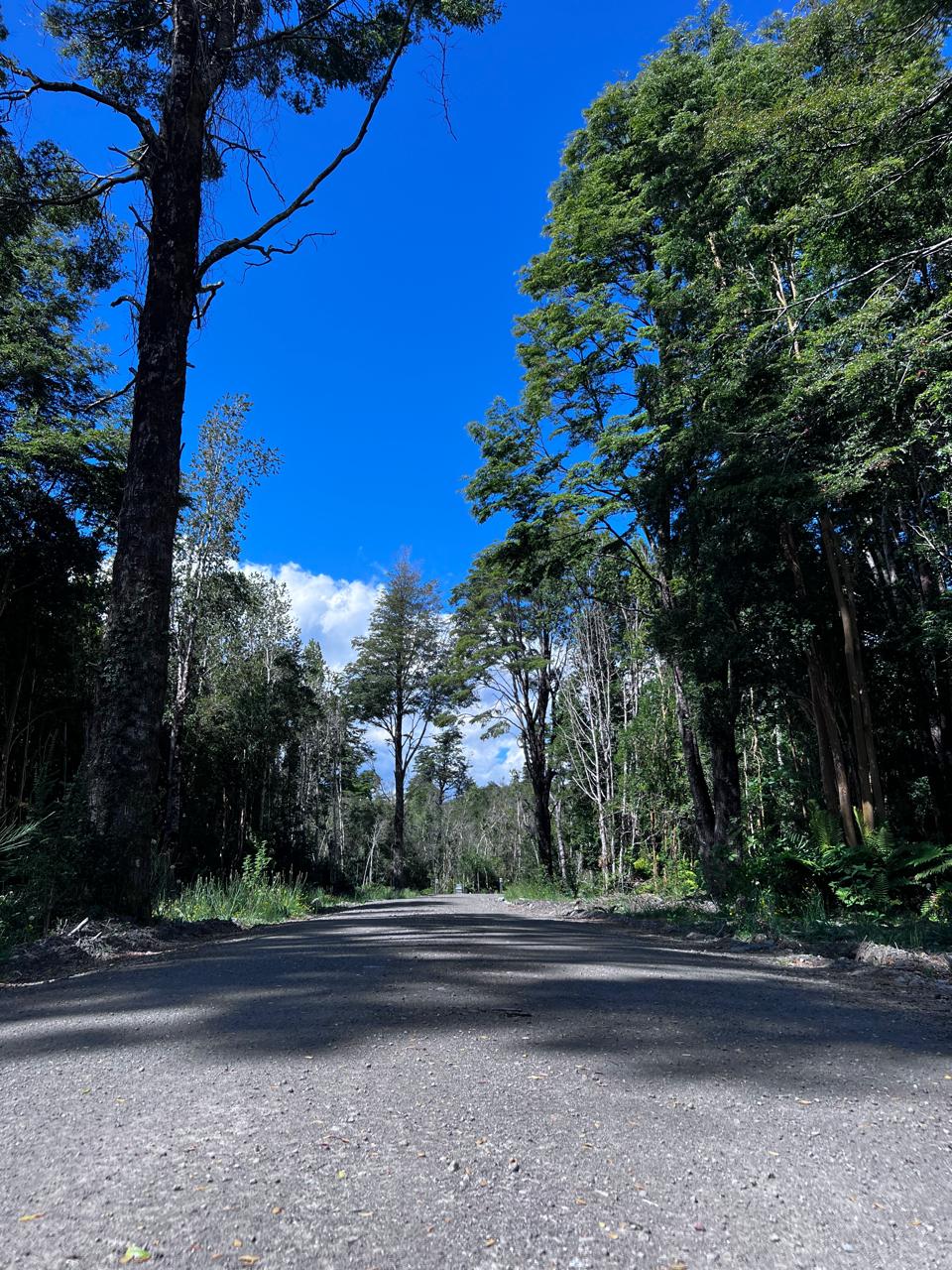 VENDO - PARCELA ORILLA DE LAGO LLANQUIHUE, ENSENADA 