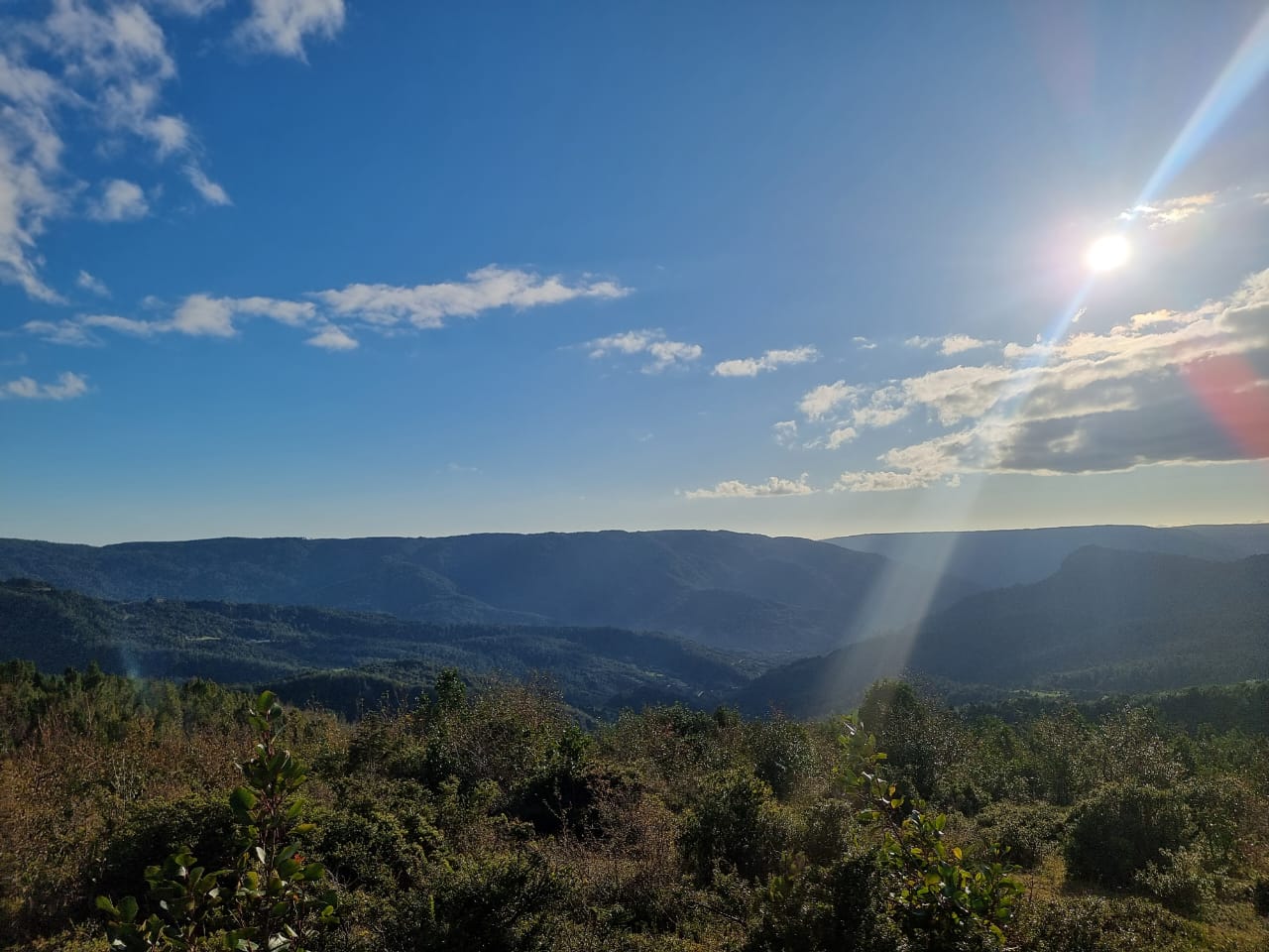 TERRENO EN LOS MUERMOS, CORDILLERA DEL SARAO