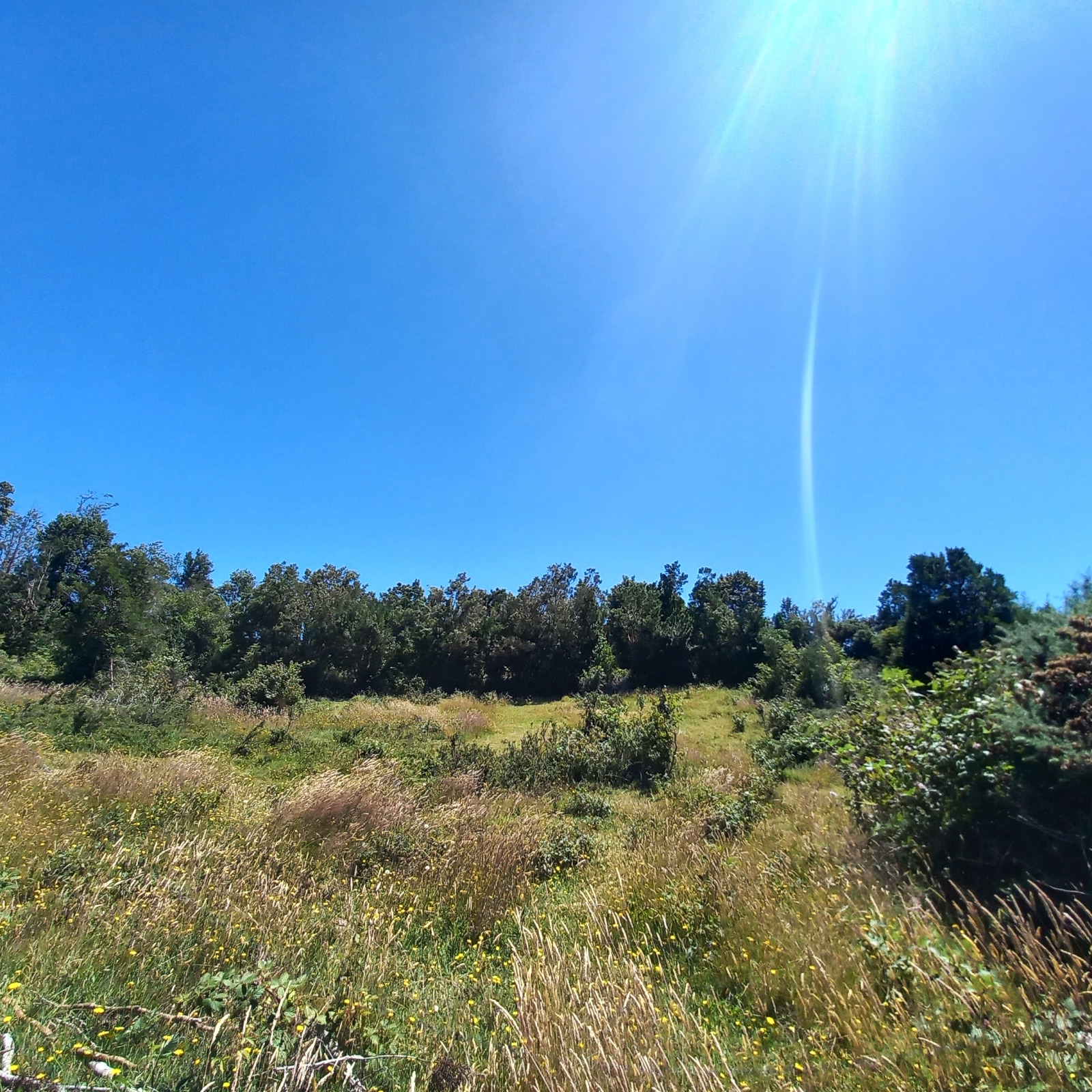 VENDO - Terreno de 2.35 Ha en ILQUE