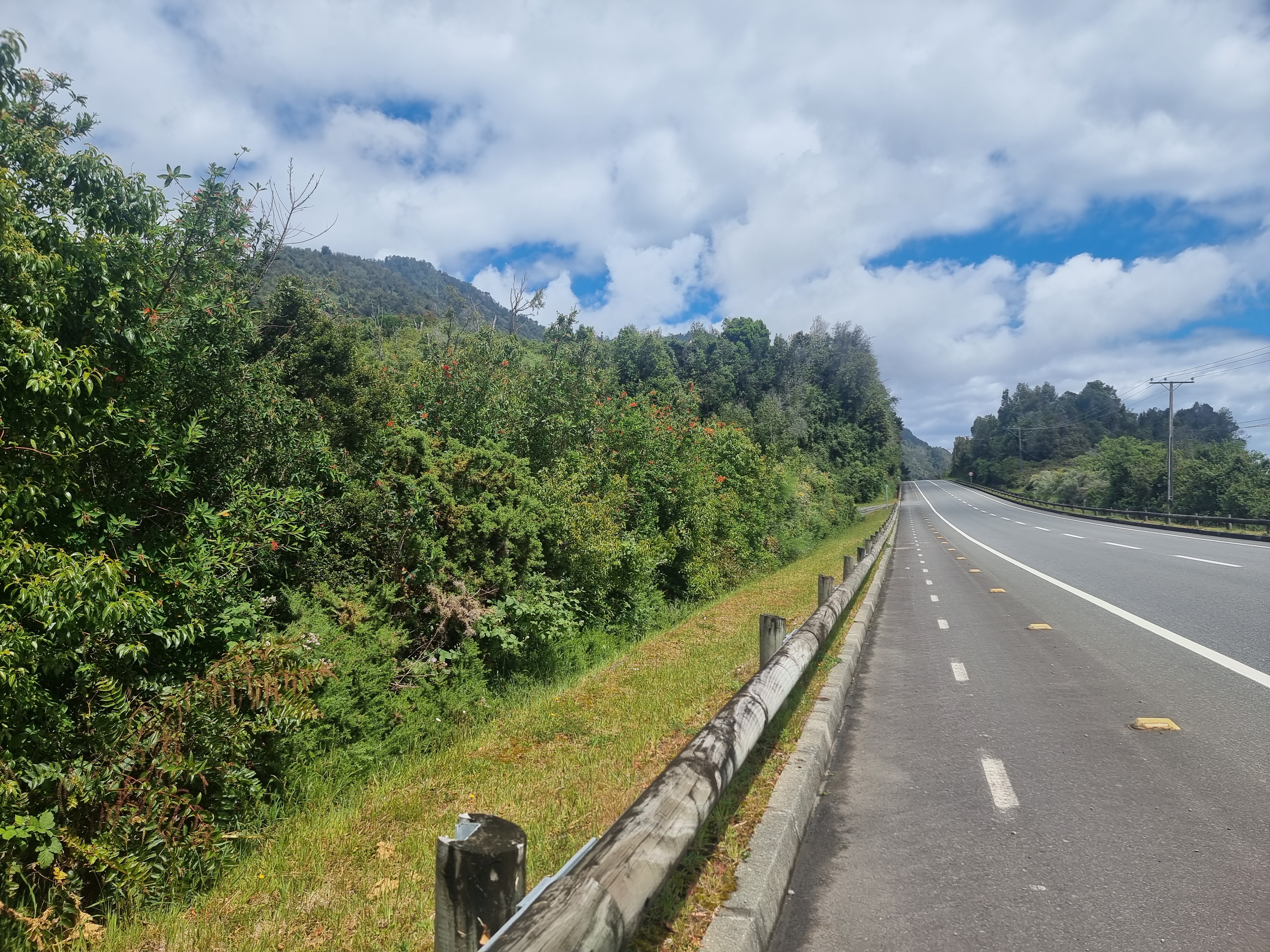 VENDO - PARCELA ORILLA DE RUTA CAMINO A ENSENADA