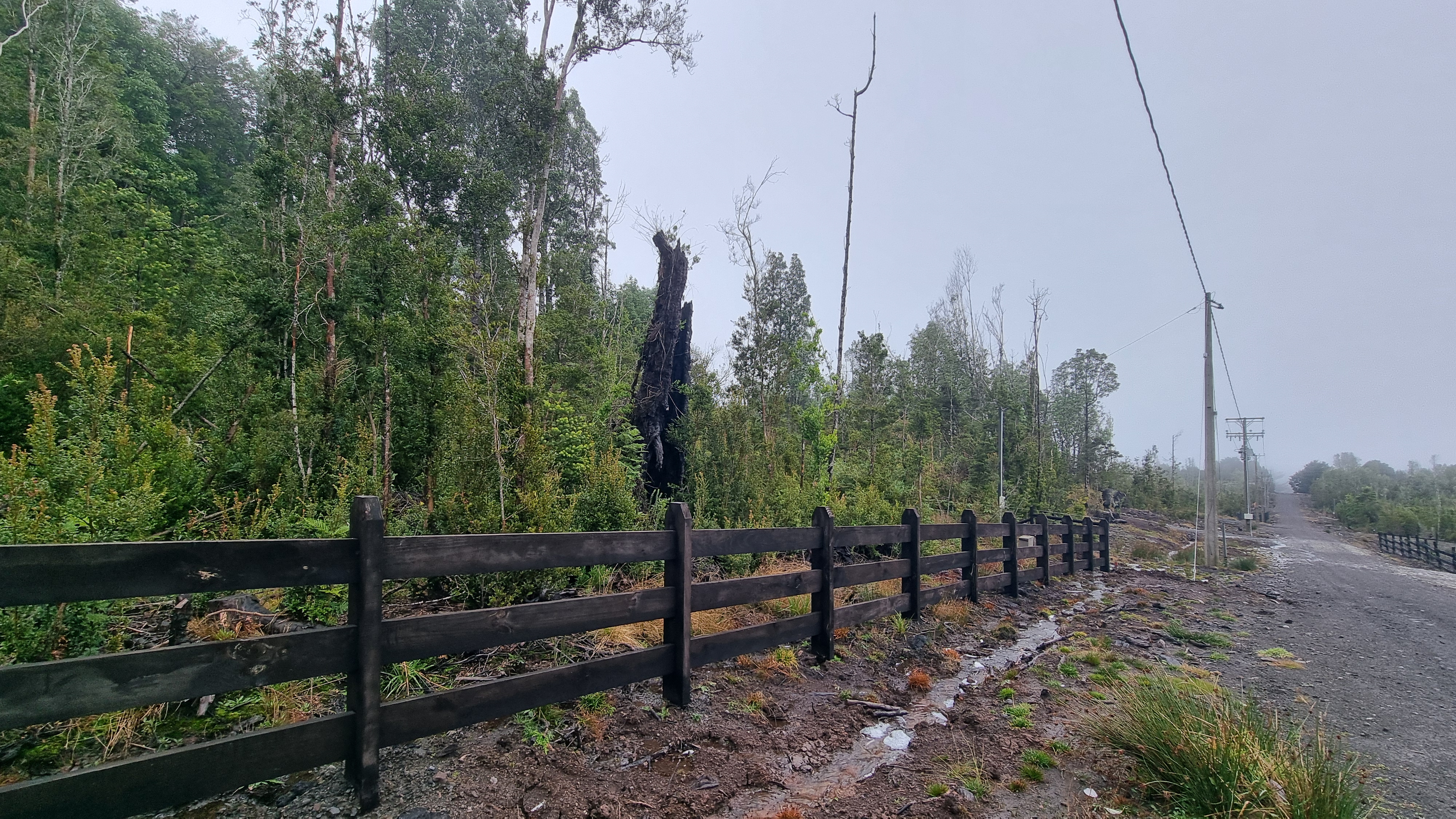 VENDO – Parcela 5000m2 en Colonia Rio Sur Pto. Varas