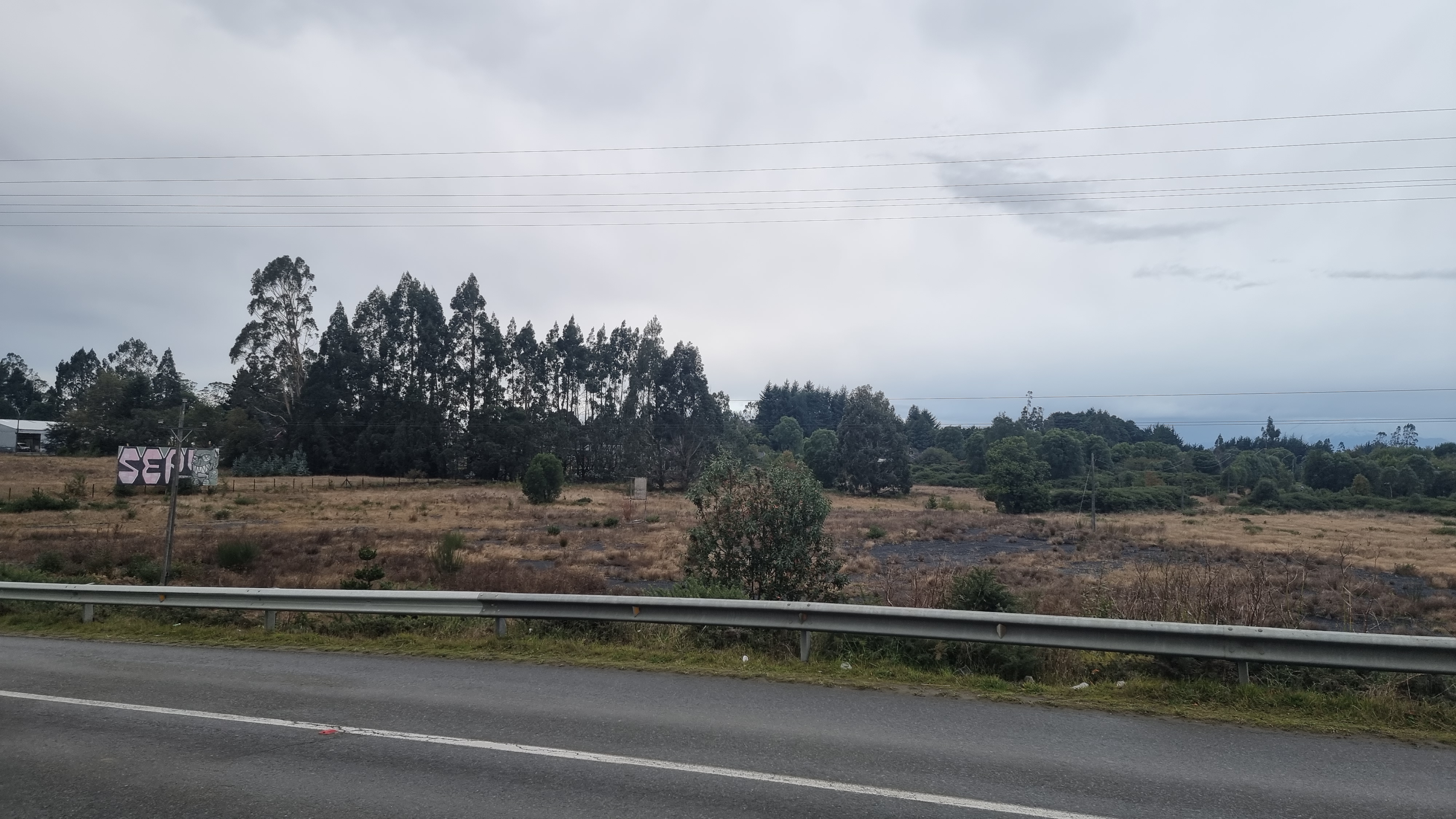 PARCELACIÓN EN RUTA 5, PUERTO VARAS