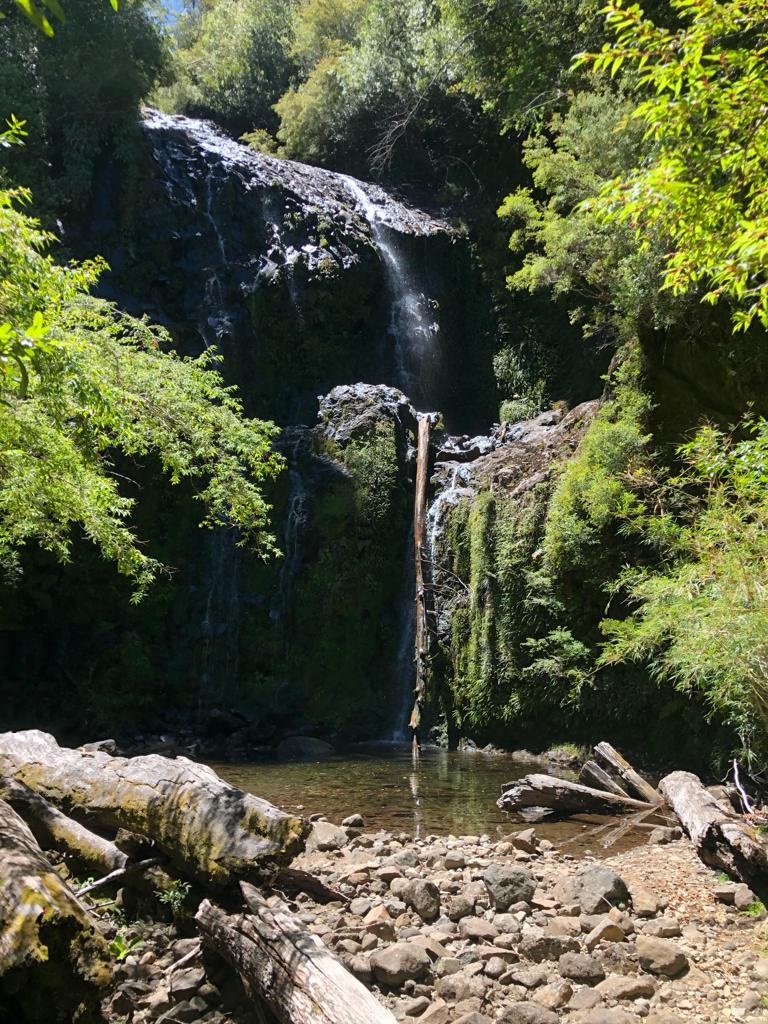 VENDO – Terreno en Colonia Rio Sur