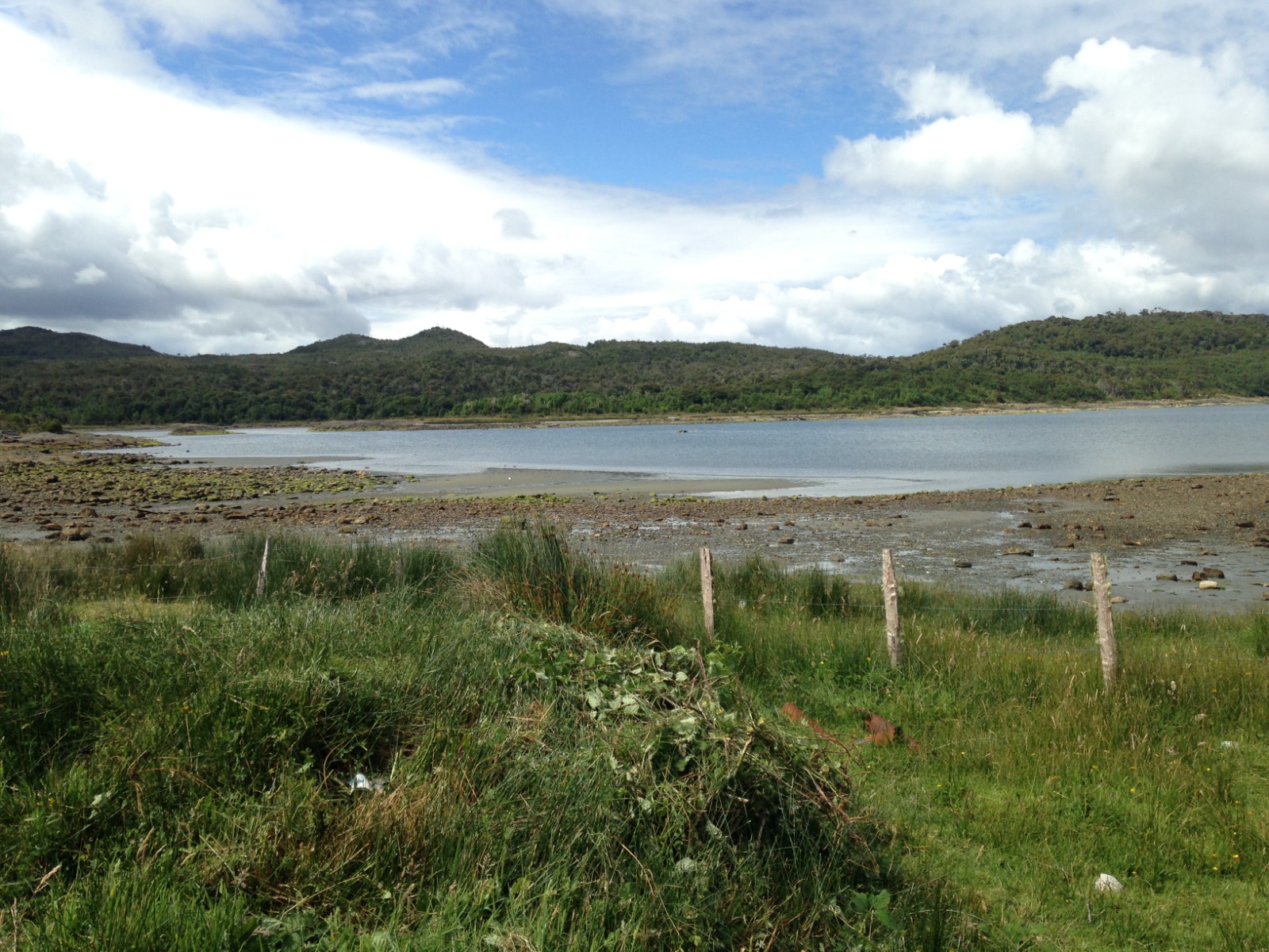 BAHÍA LOW, GUAITECAS