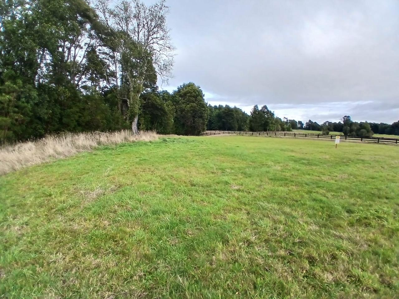 VENDO - PARCELA EN  LOS MUERMOS, PARAISO DEL ENCANTO