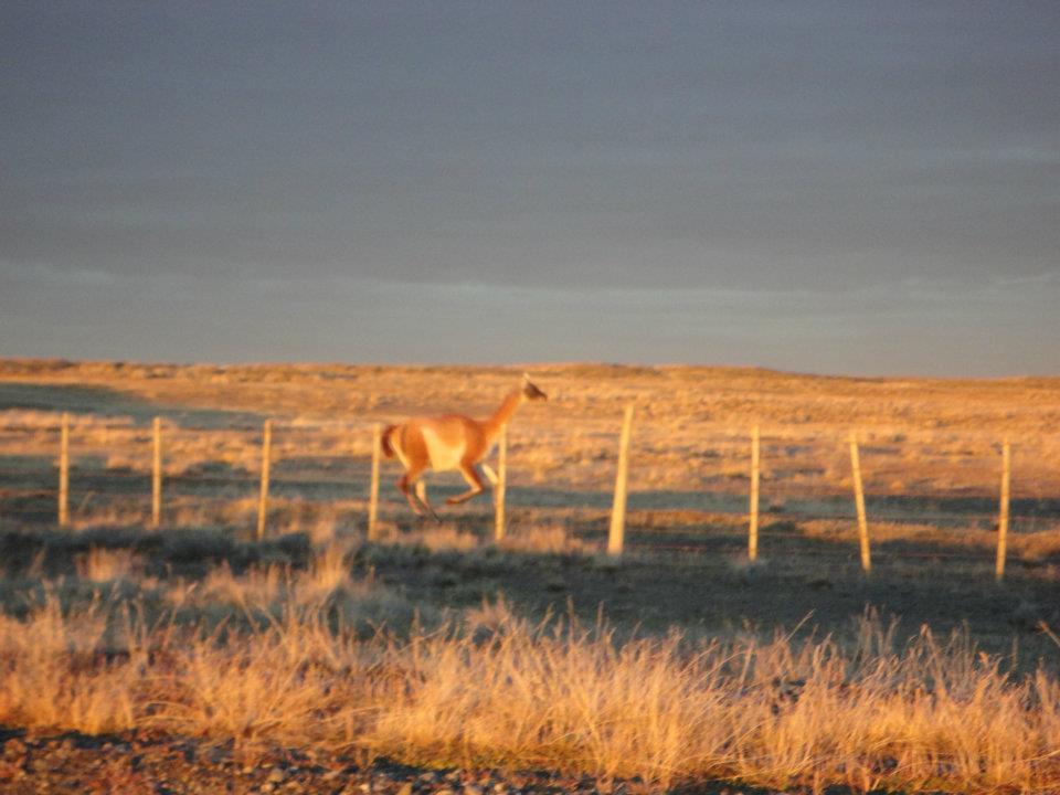 LOTEO EN PORVENIR, TIERRA DEL FUEGO