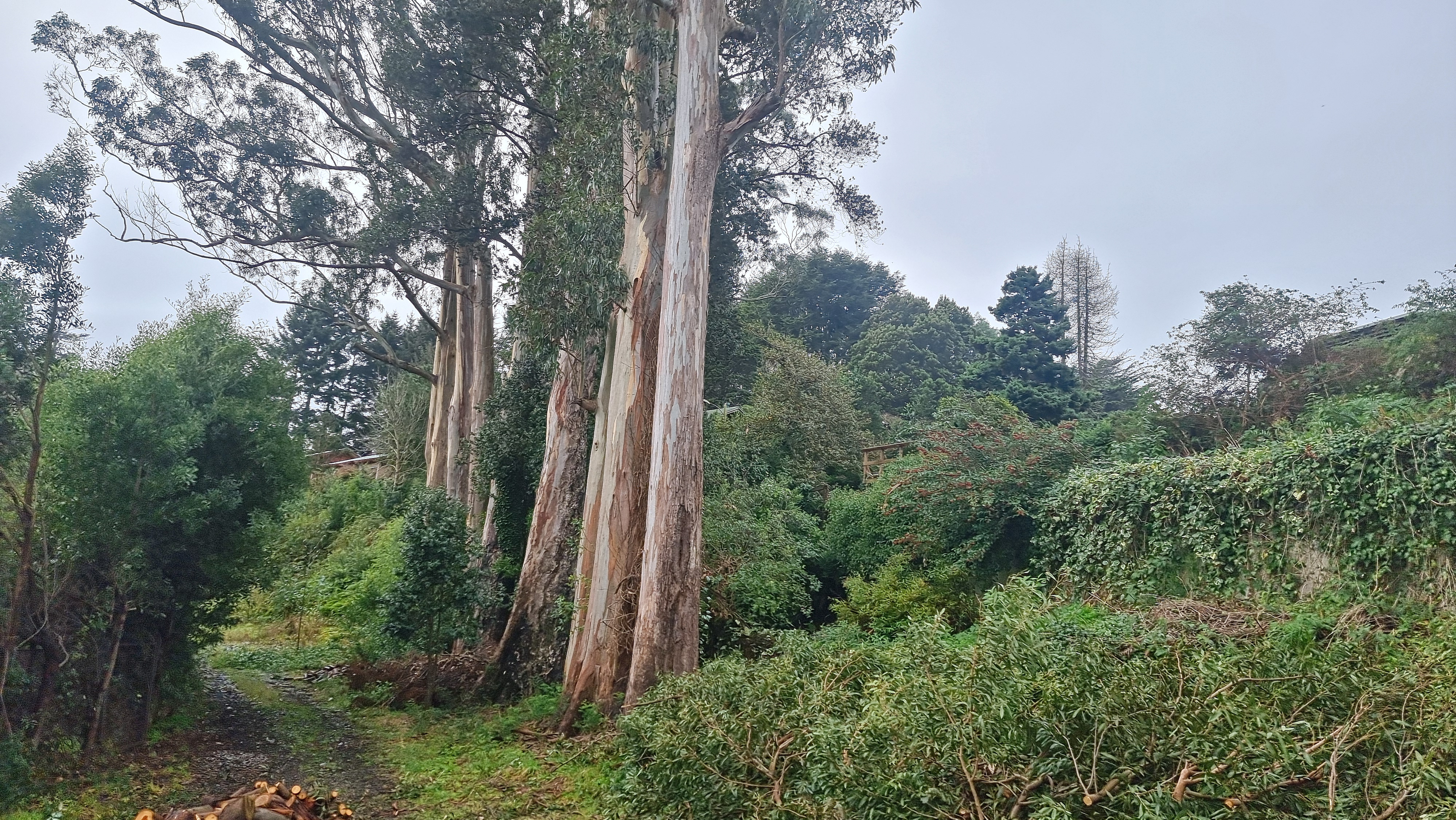 ARRIENDO - ESPACIO COMERCIAL EN PUERTO VARAS