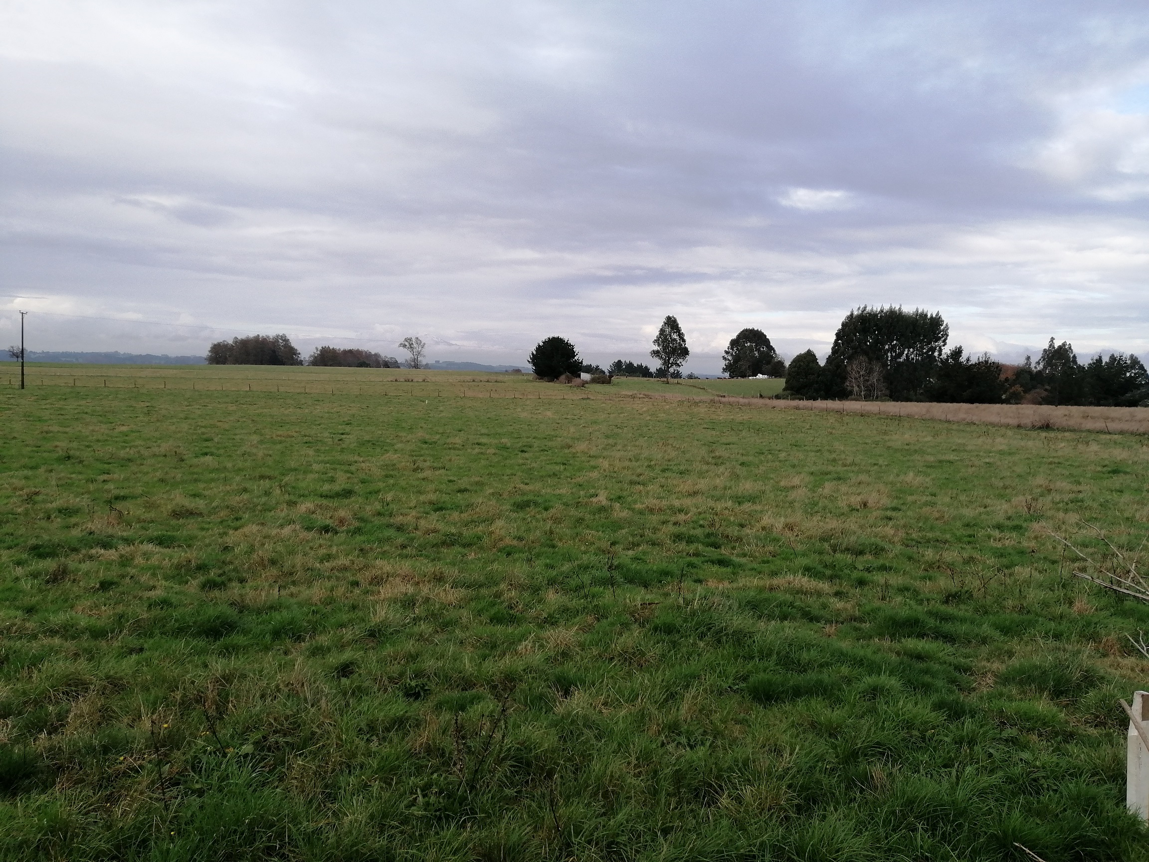 ÚLTIMAS PARCELAS EN NUEVA BRAUNAU