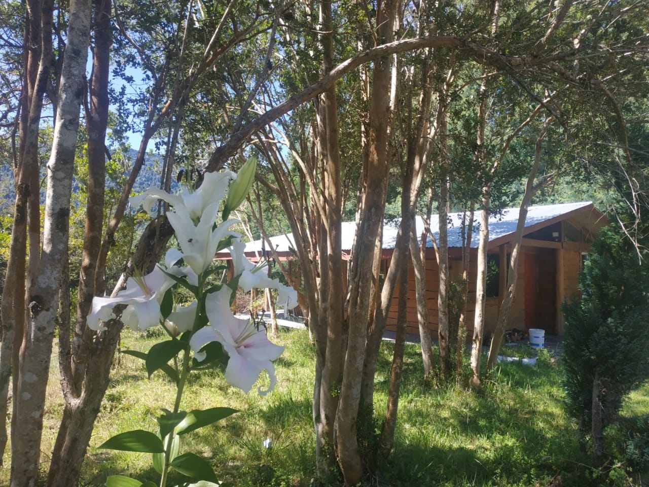 OPORTUNIDAD - Terreno urbanizado en Ralún con factibilidad para Lodge