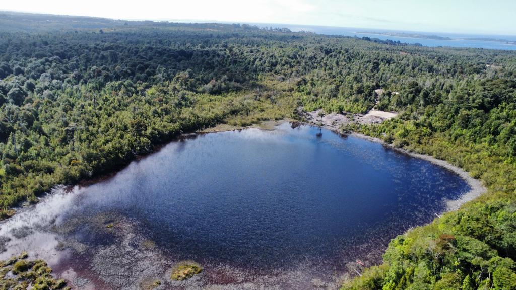 VENDO - CAMPO DE 420 HA EN COLACO