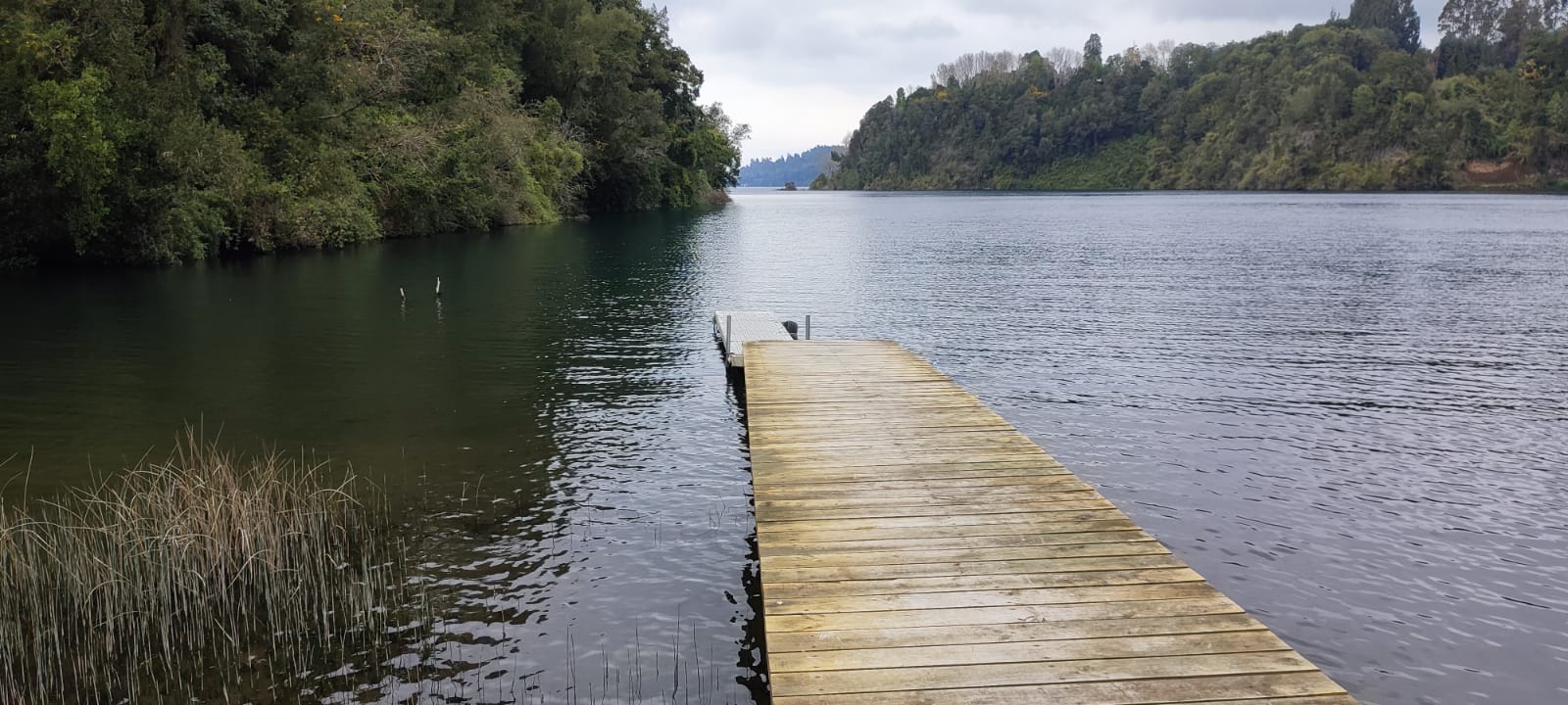 VENDO - HERMOSA PARCELA EN QUILANTO, PUERTO OCTAY