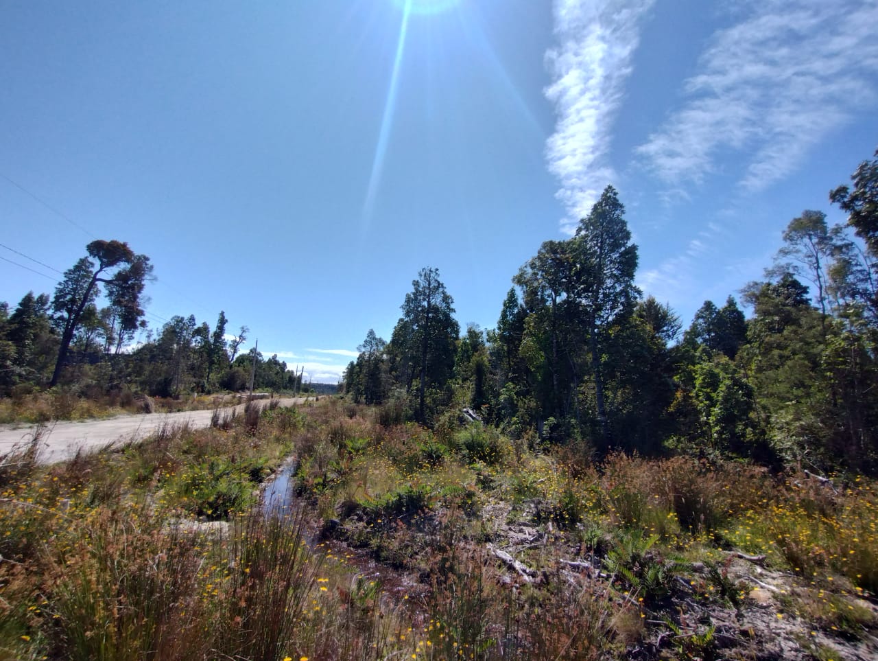 VENDO - Parcela 9800 m2 cerca de Colonia Tres Puentes, Pto. Varas