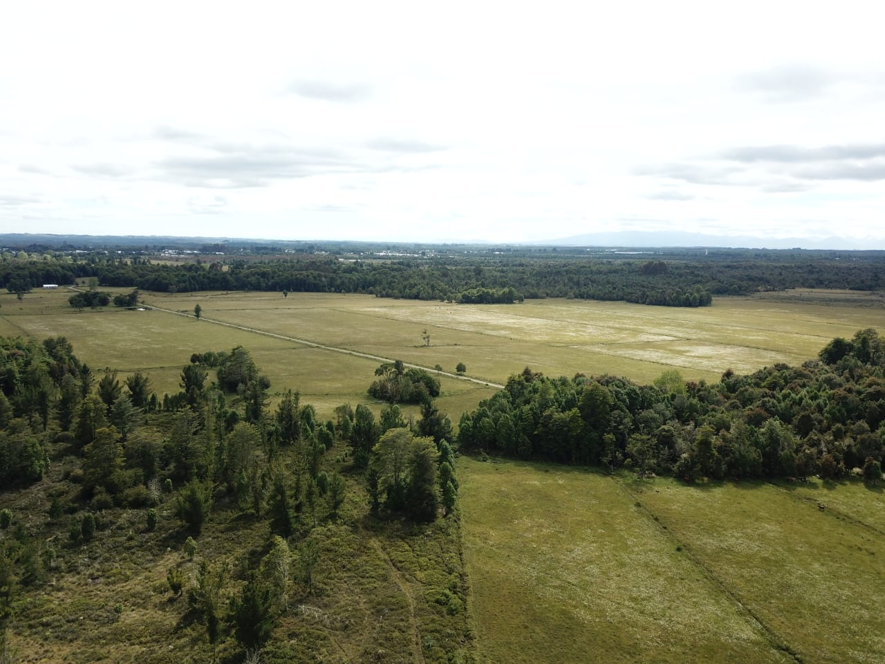 VENDO - CAMPO AGRICOLA 501 HA EN PUERTO MONTT