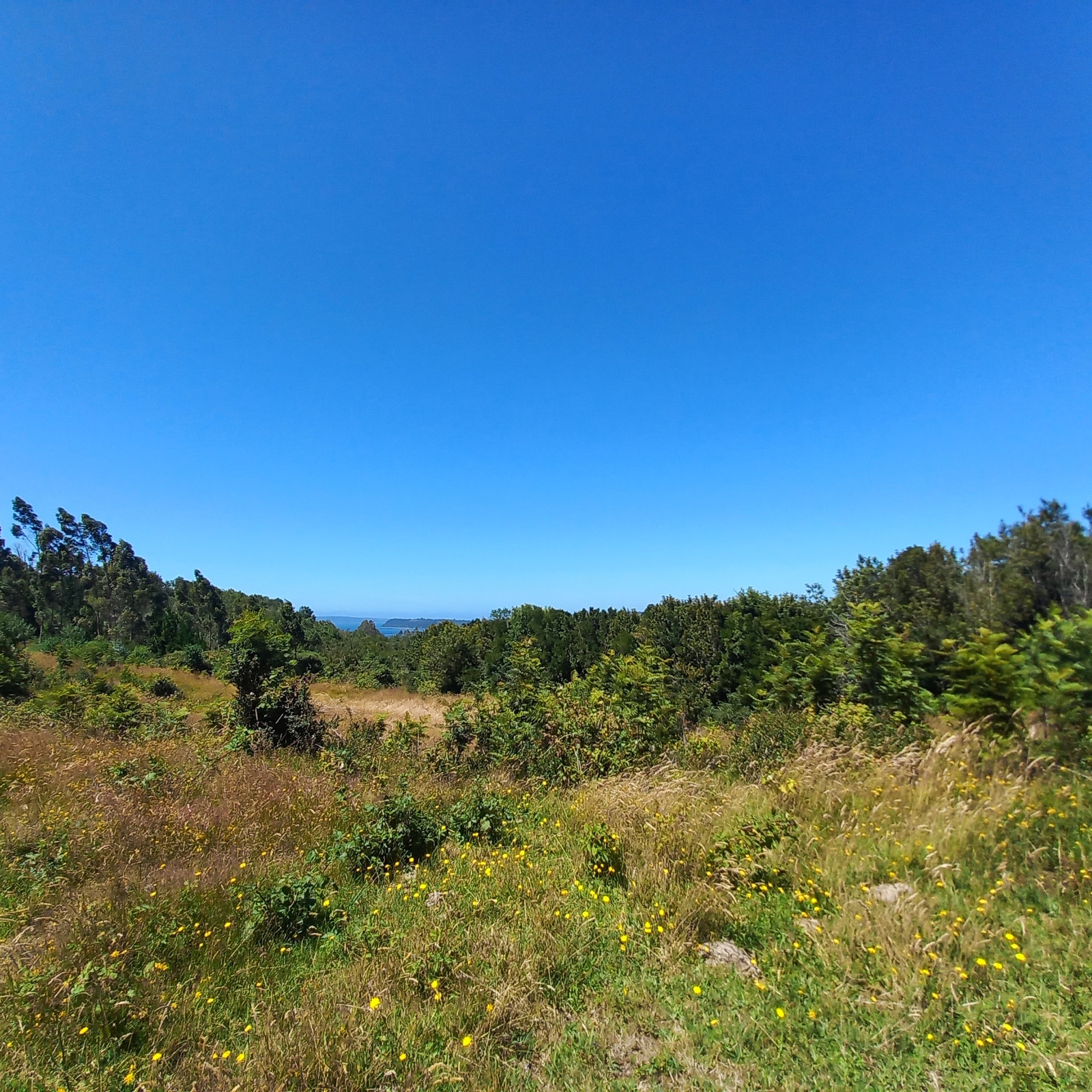 VENDO - Terreno de 2.35 Ha en ILQUE