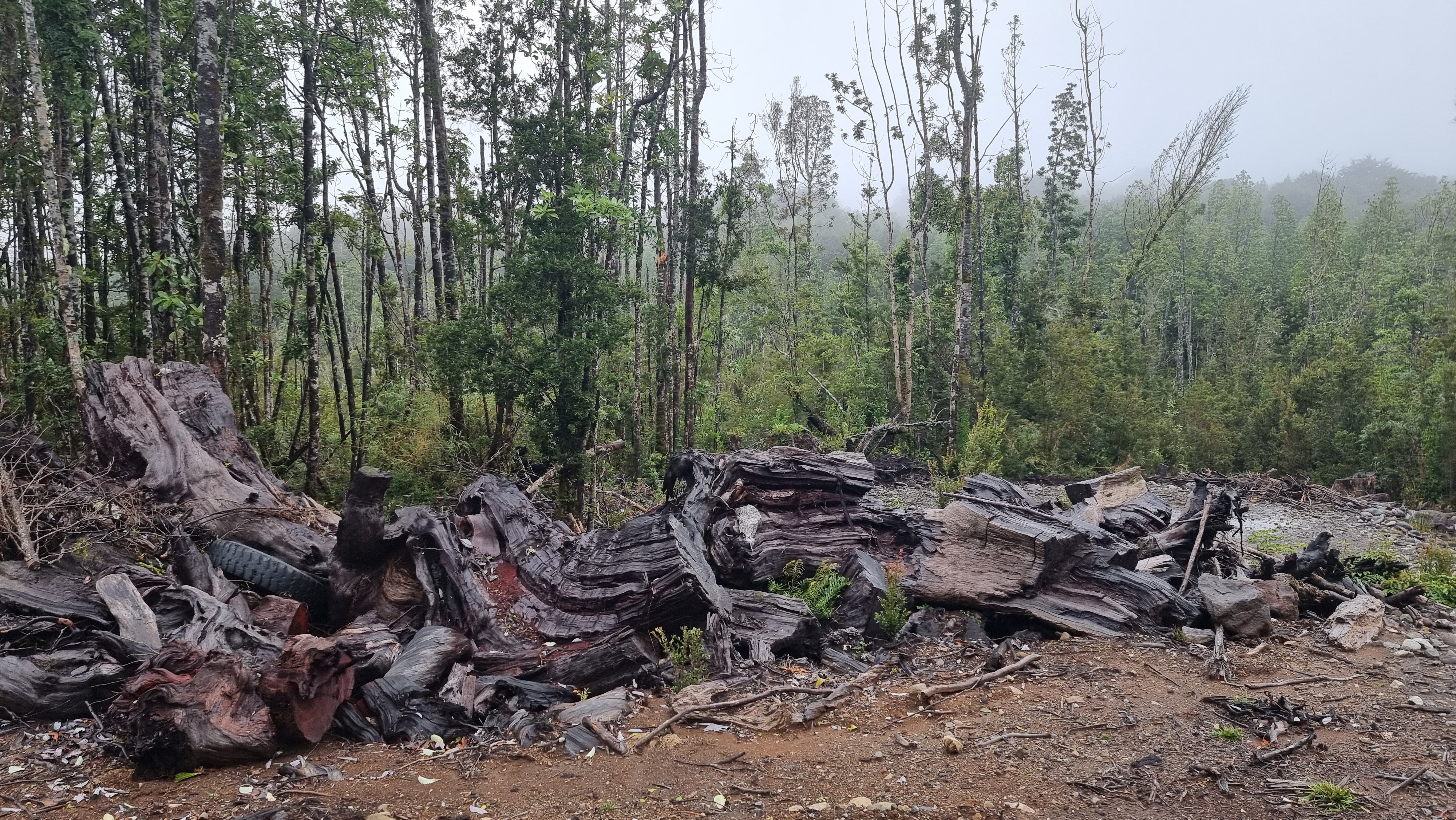 VENDO – Parcela 5000m2 en Colonia Rio Sur Pto. Varas