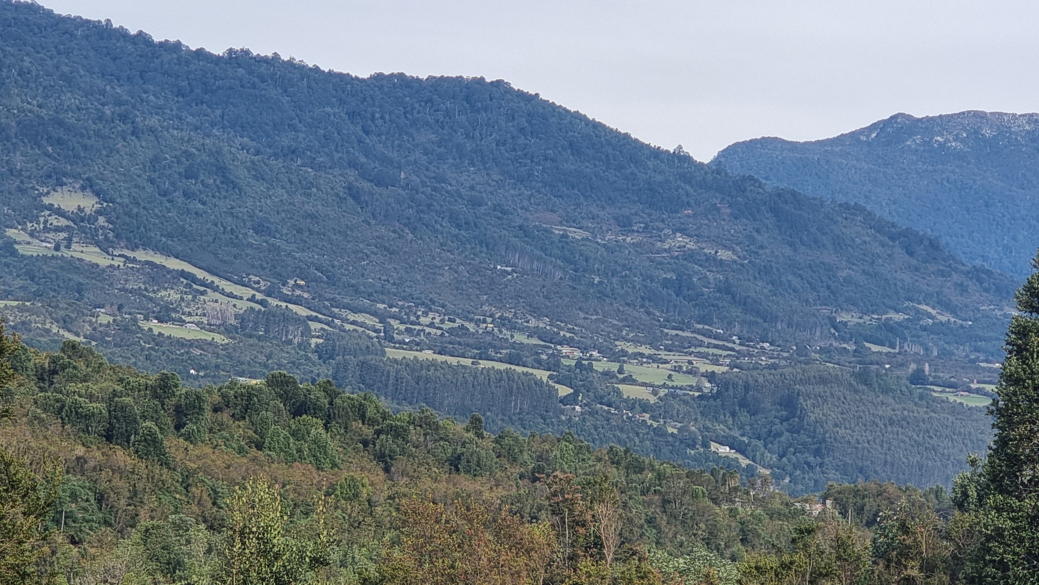 VENDO – Parcela de 9.000 m2 camino a Ralún 