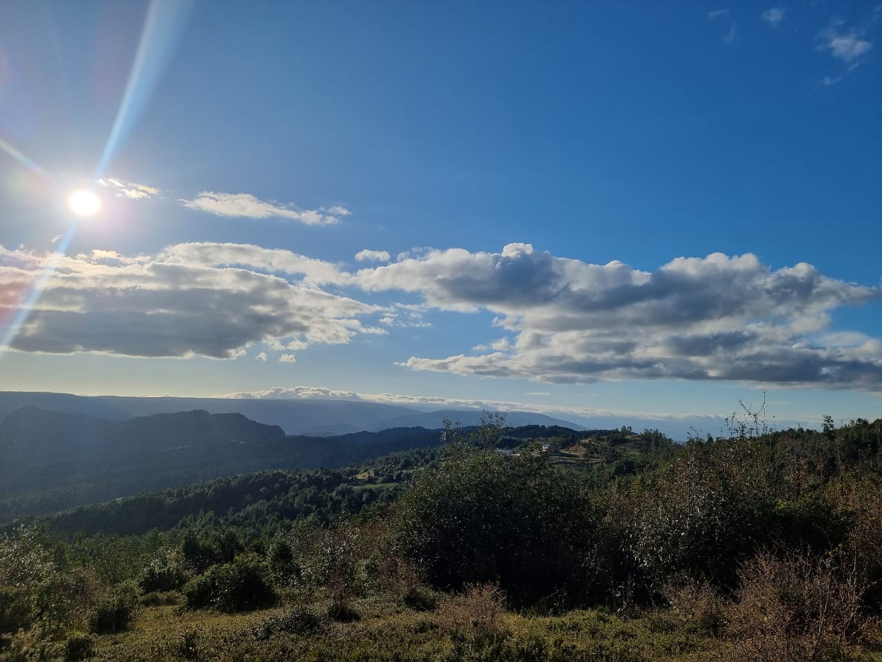 TERRENO EN LOS MUERMOS, CORDILLERA DEL SARAO