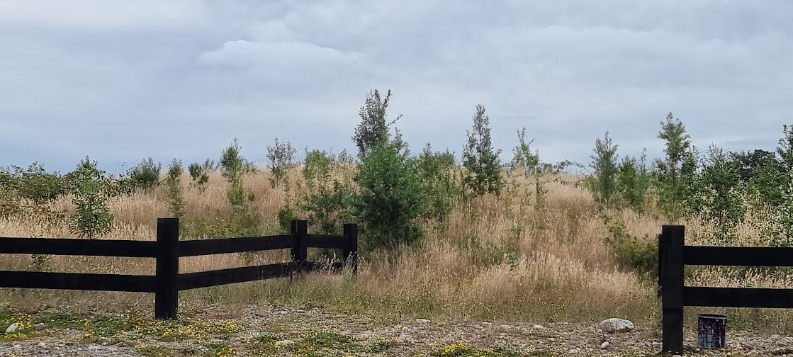 VENDO - Parcela 5000 m2 en Condominio Cumbre Volcanes 