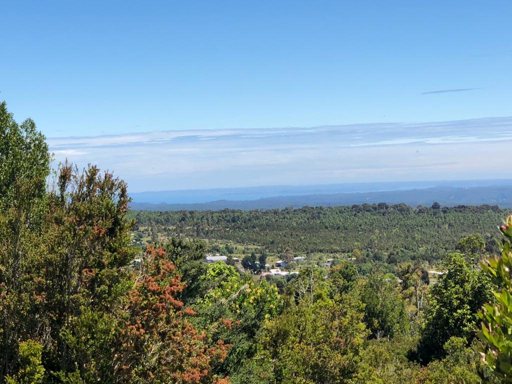 VENDO – Terreno en Colonia Rio Sur