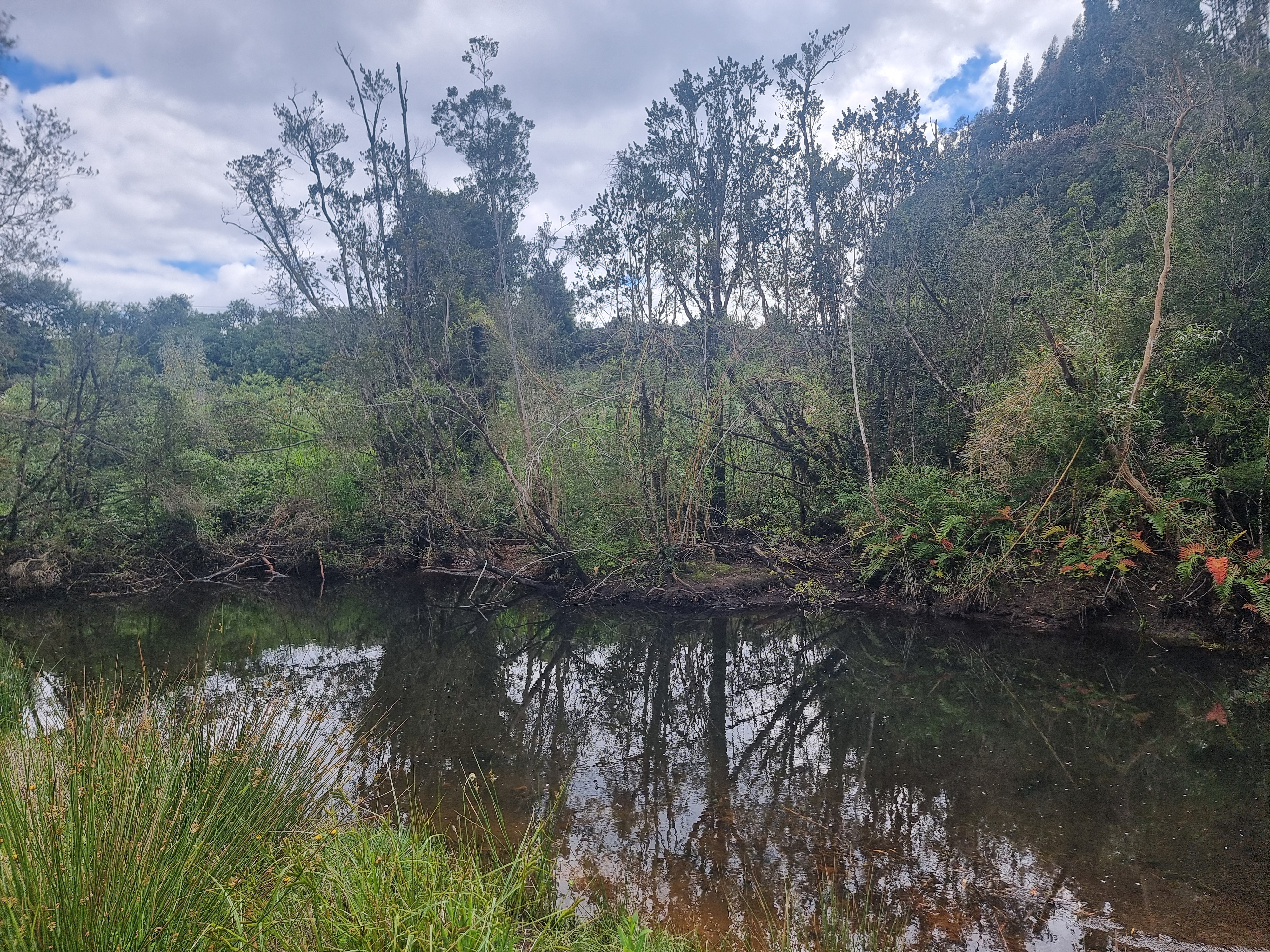 VENDO - PARCELA ORILLA DE RUTA CAMINO A ENSENADA 