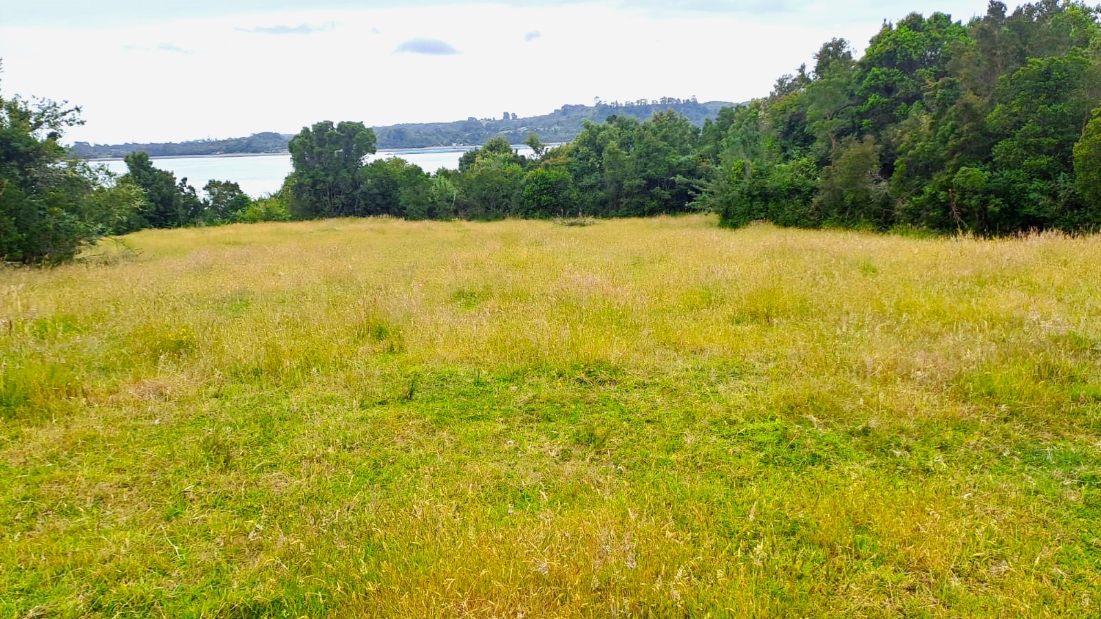 VENDO - Terreno en Isla Puluqui, Calbuco 