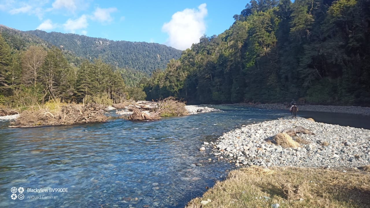 VENDO – PROPIEDAD EN LAGO RANCO, FUTRONO