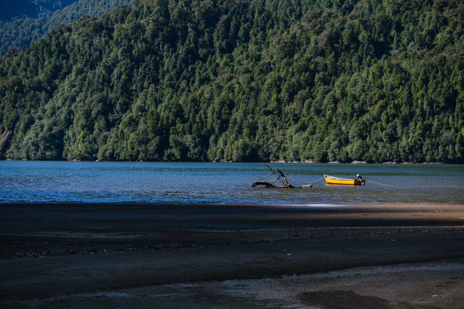 VENDO – TERRENO 415 HECTÁREAS EN PUERTO CISNES, AYSÉN