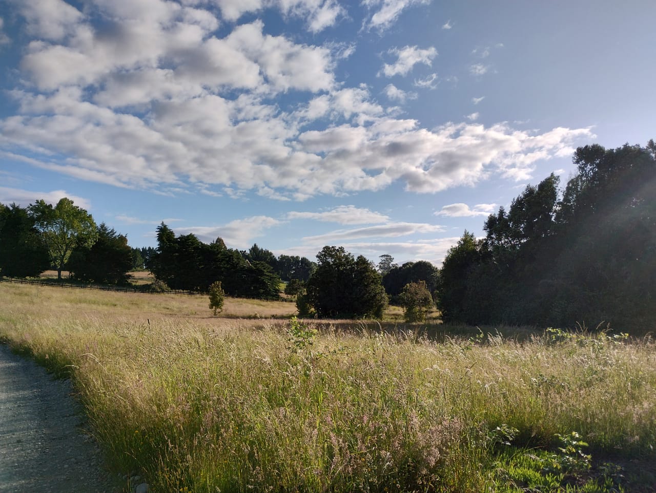 VENDO - Parcela 5150 m2 en Lomas del Mirador, Pto. Varas