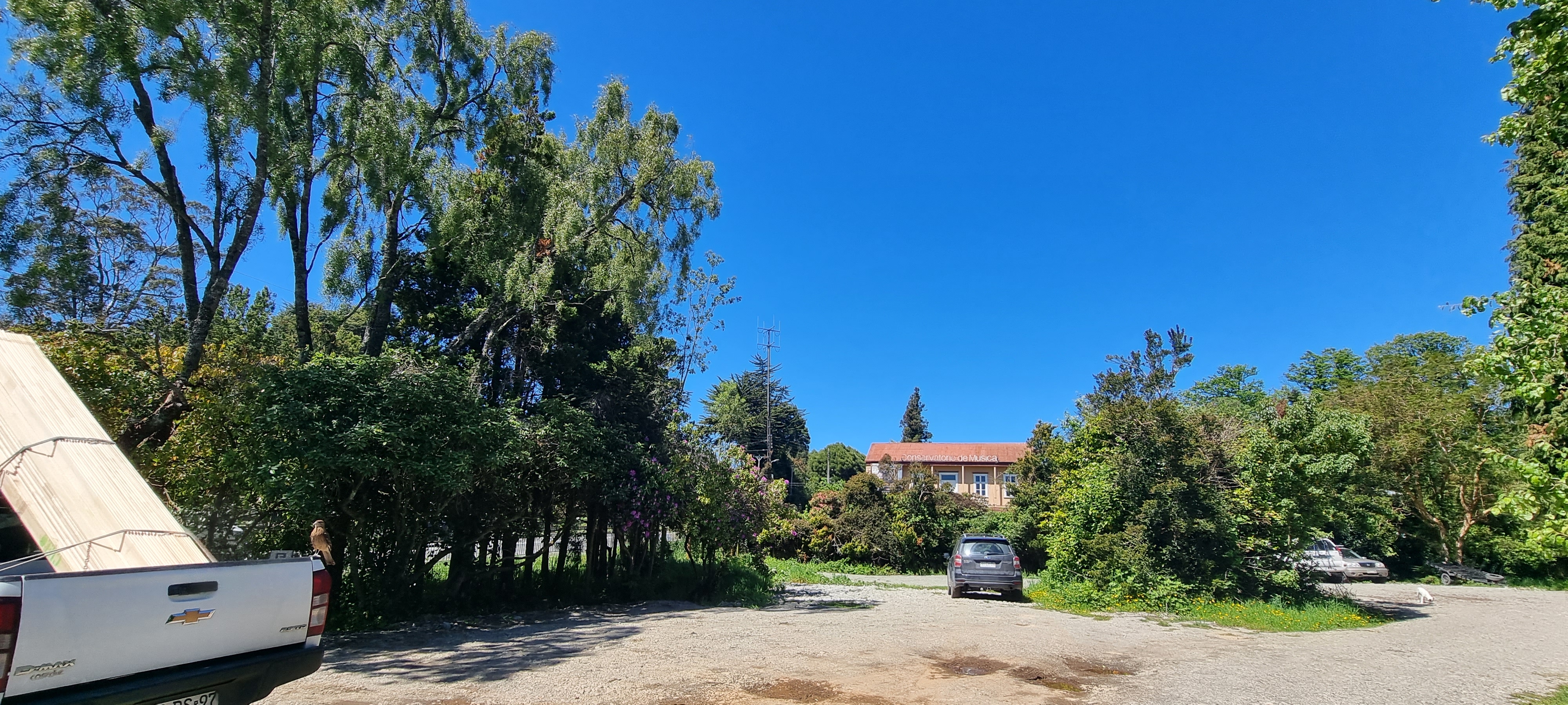 ARRIENDO - Terreno 352 m2 Orilla de Ruta, Camino a Ensenada