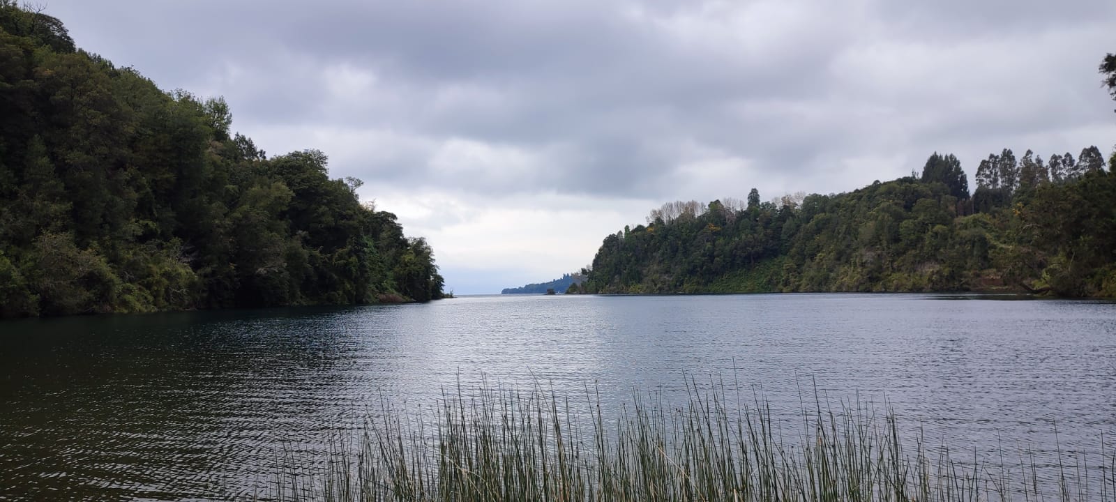 VENDO - HERMOSA PARCELA EN QUILANTO, PUERTO OCTAY