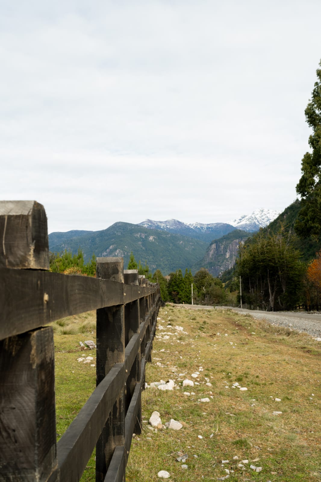 PARCELACIÓN FUTALEUFÚ