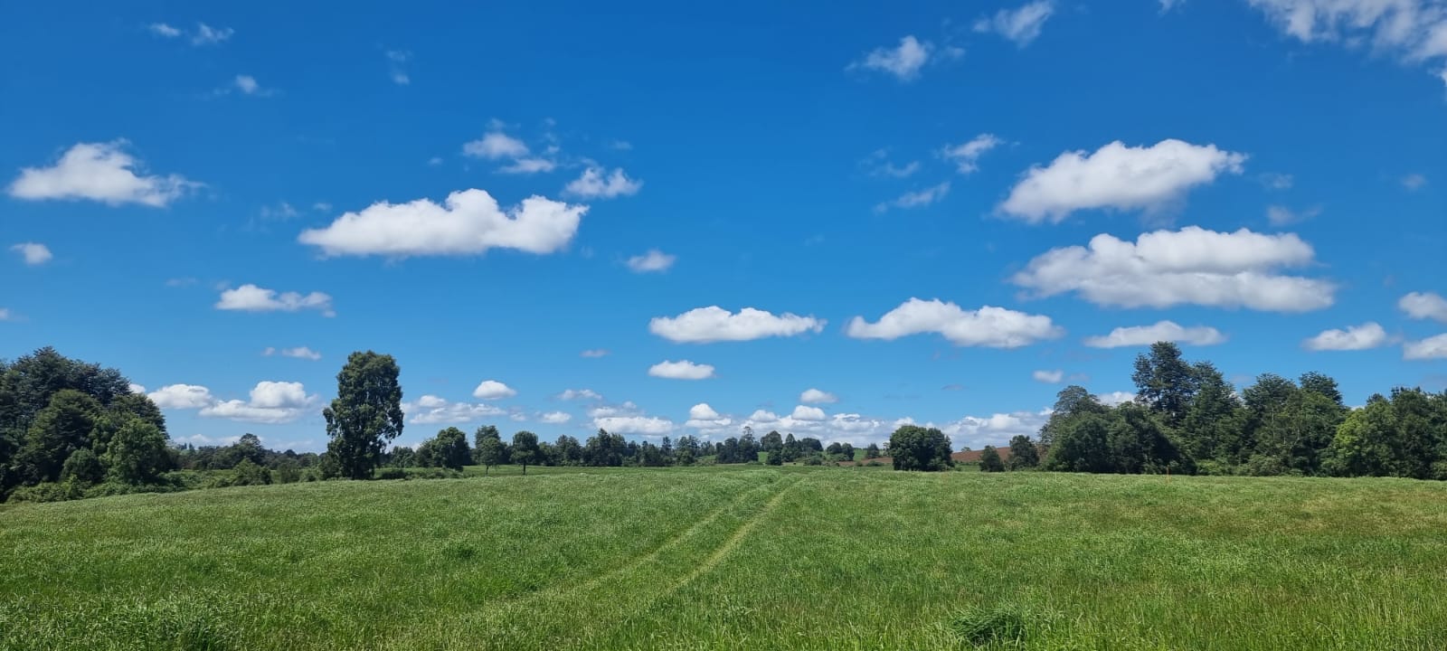VENTA - TERRENO 20 HECTÁREAS EN LOS MUERMOS