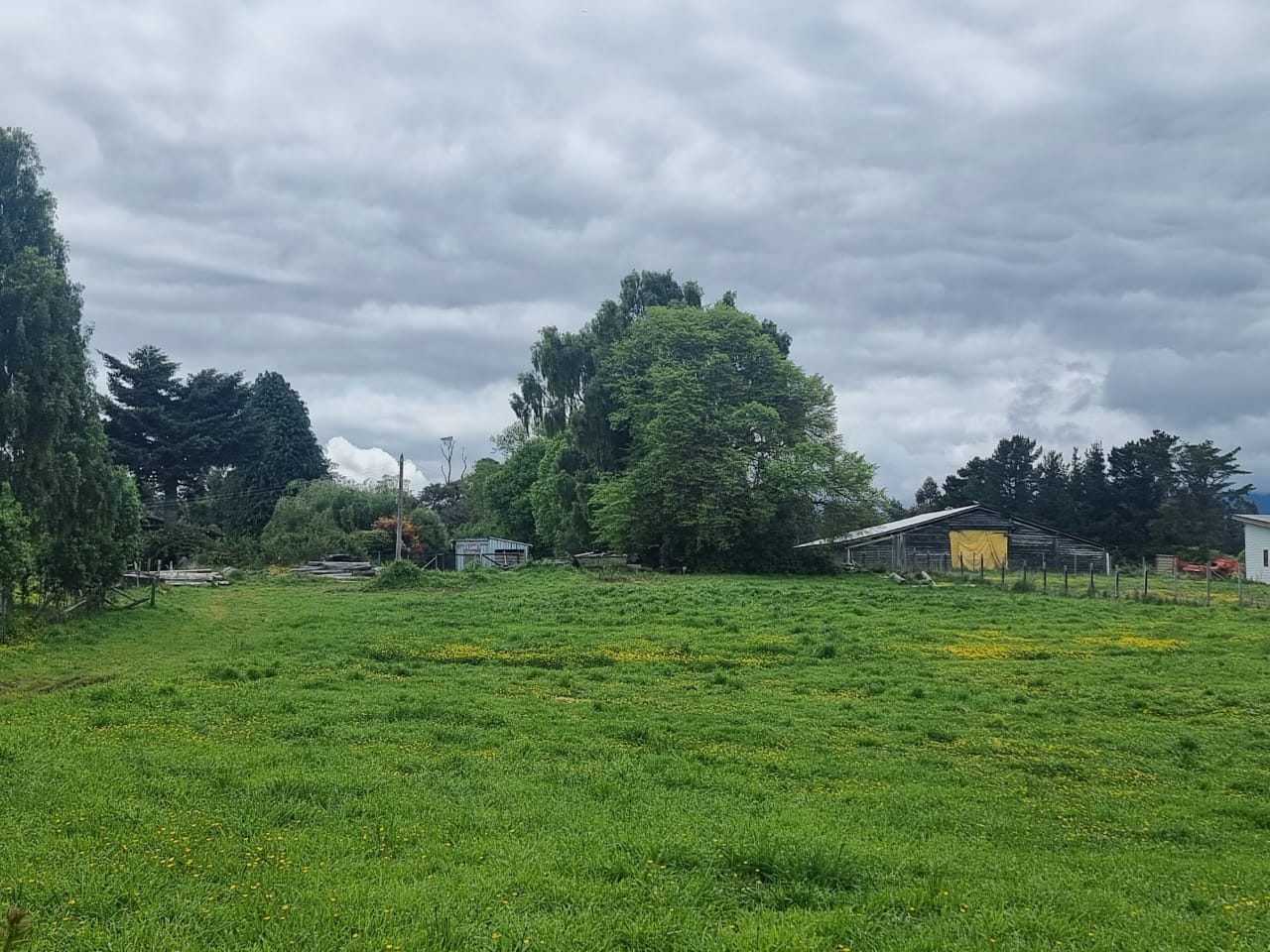 PARCELACIÓN FUNDO ARTHUR, PUERTO VARAS 