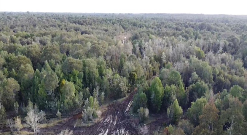 VENDO - CAMPO 82 HA EN PARGUA