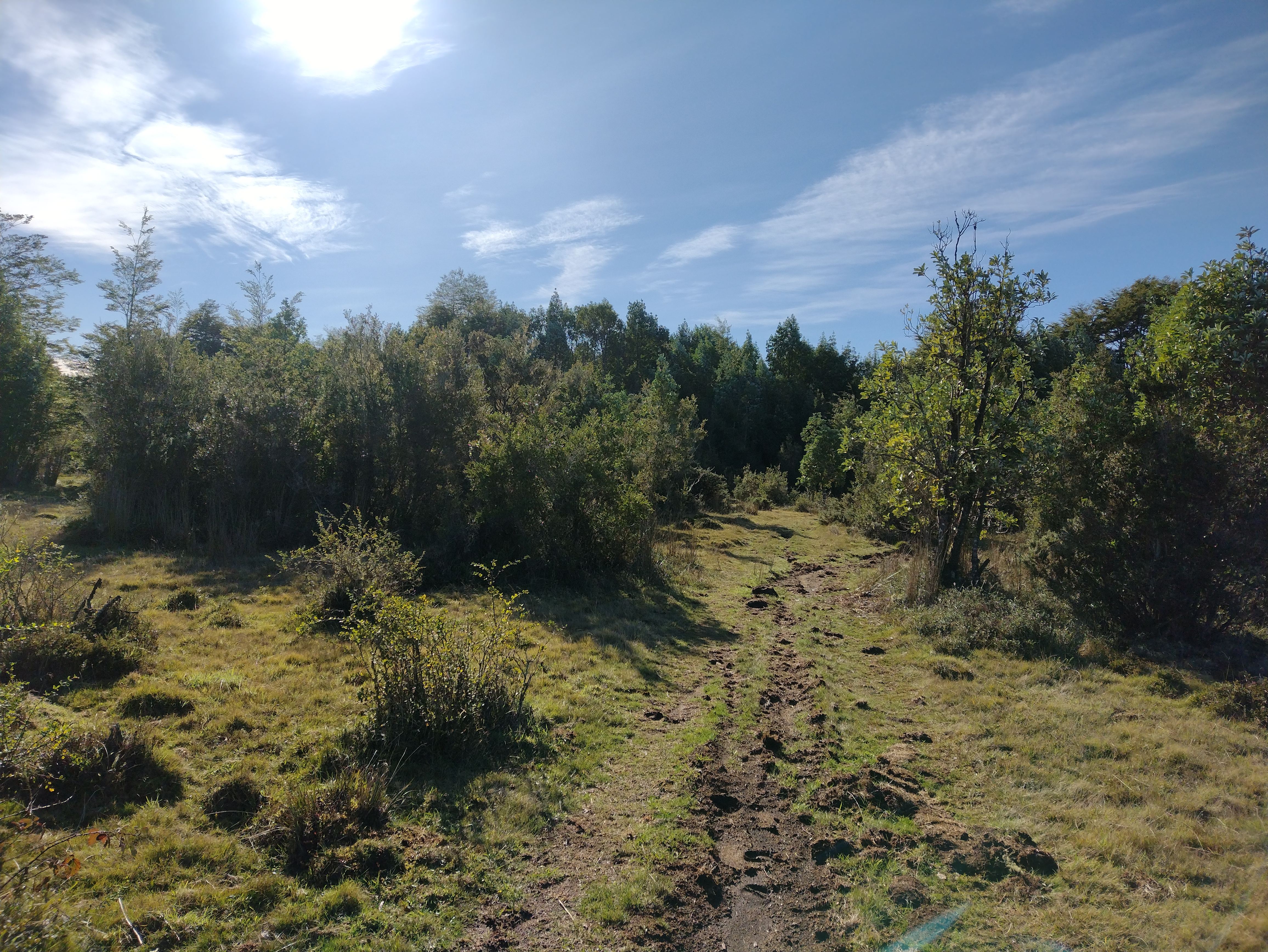VENDO - CAMPO 82 HA EN PARGUA