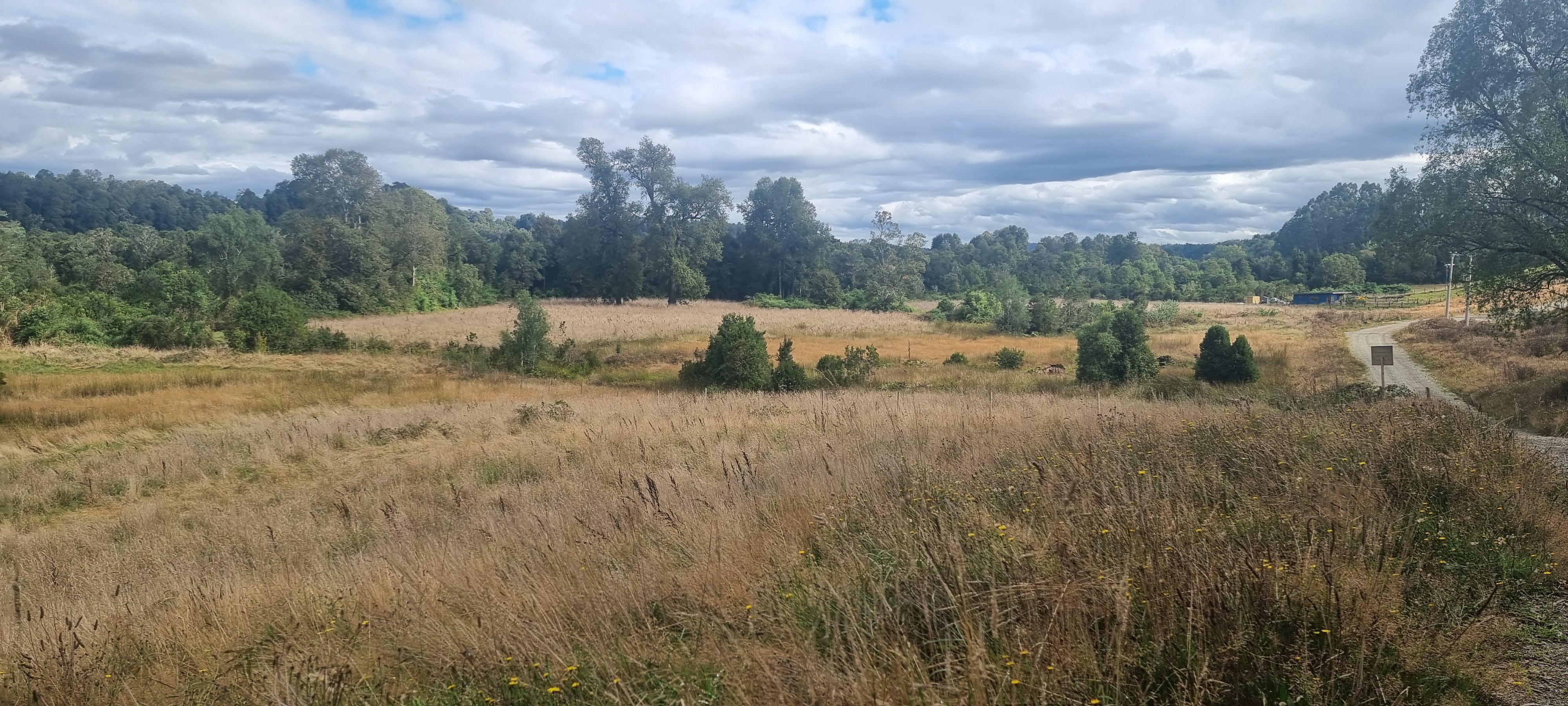 VENDO - 2 Parcelas en Terrazas de Puerto Varas, Nueva Braunau